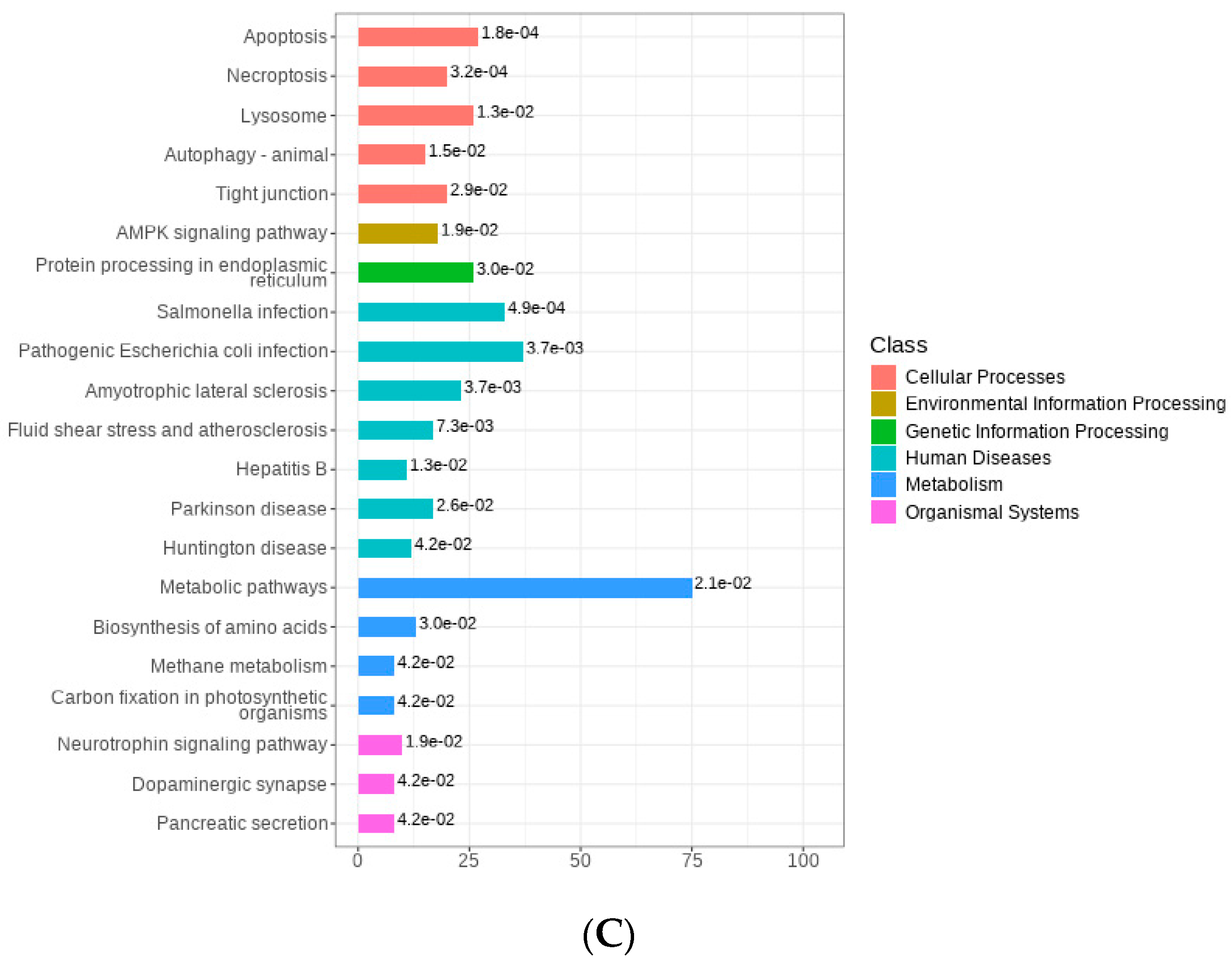 Foods 12 04056 g004b