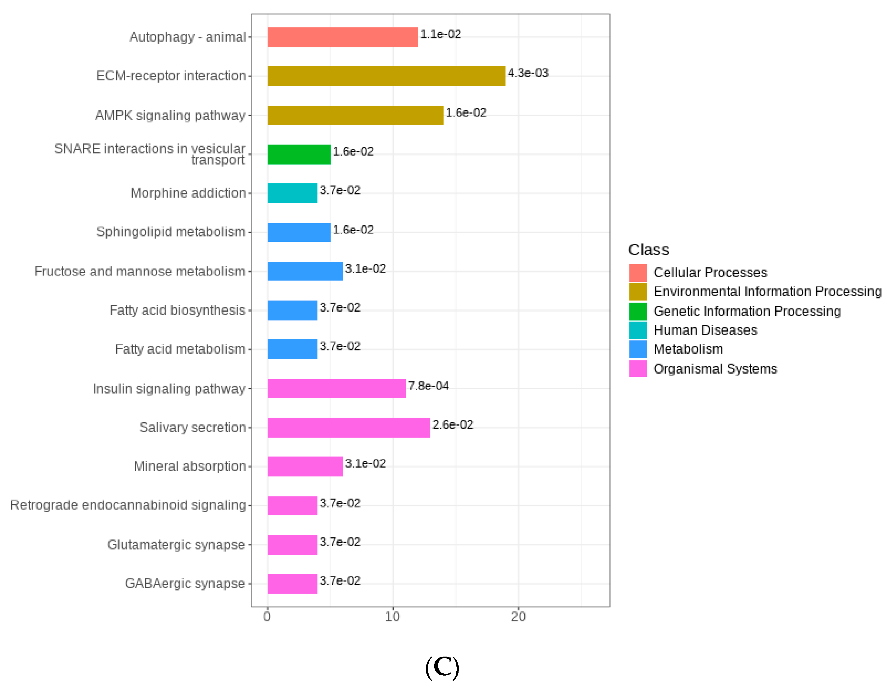 Foods 12 04056 g005b