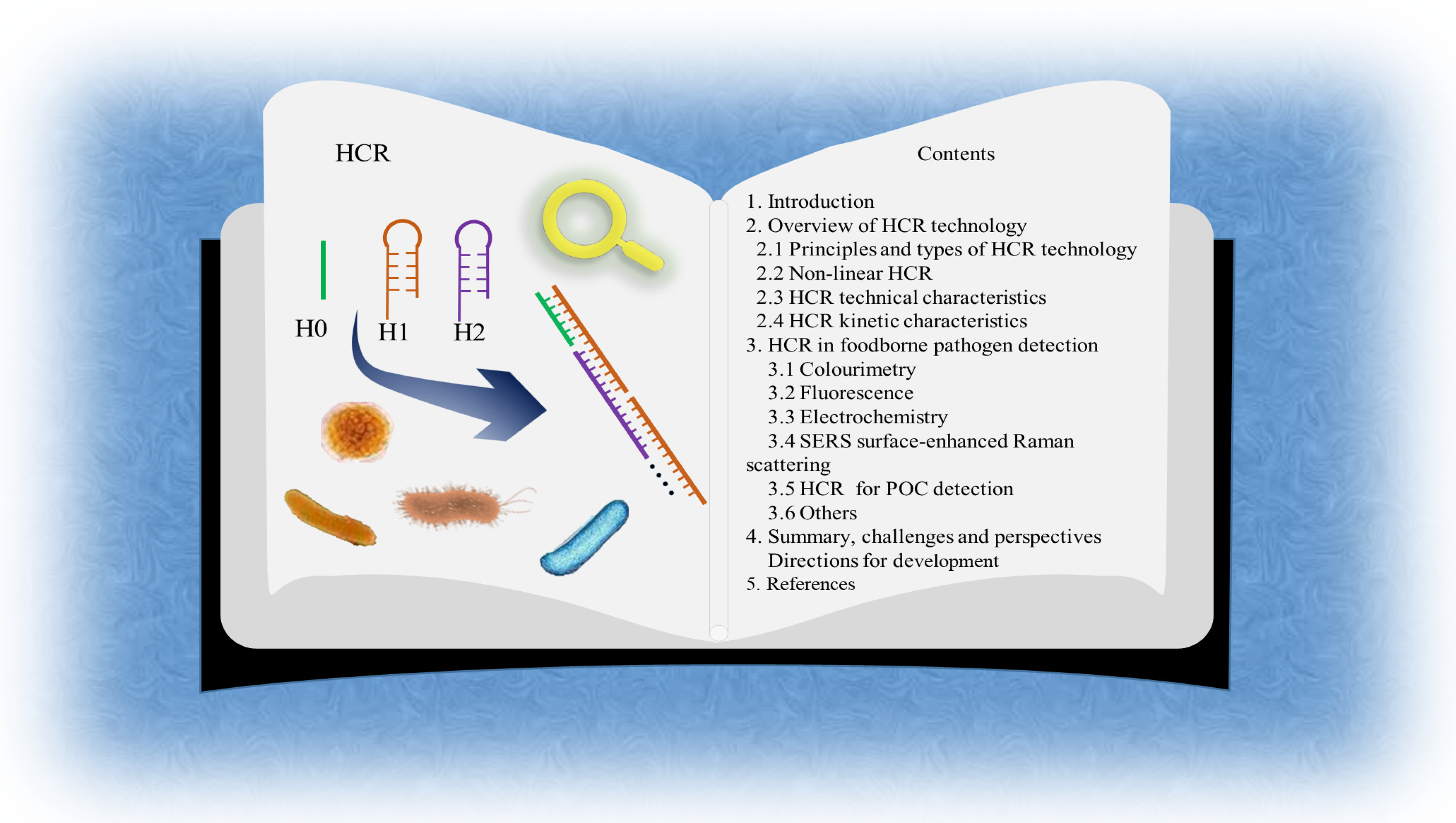 HCR 1+2