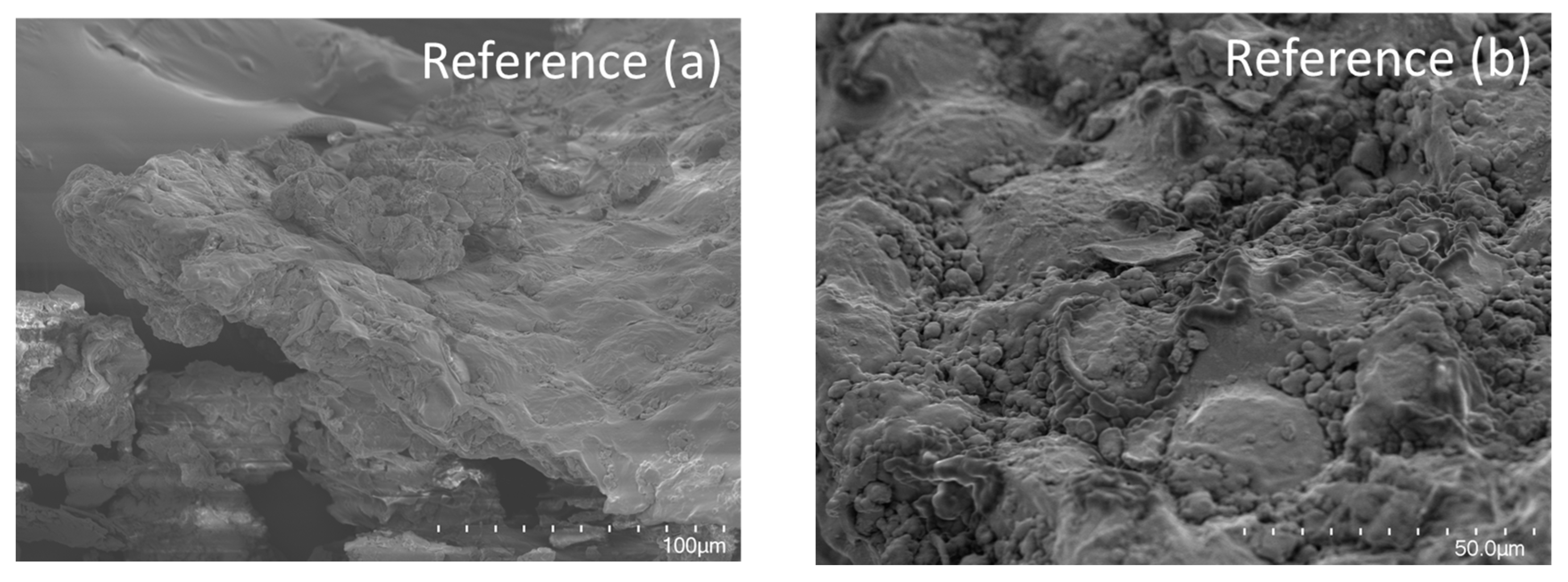 Foods 12 04070 g006a