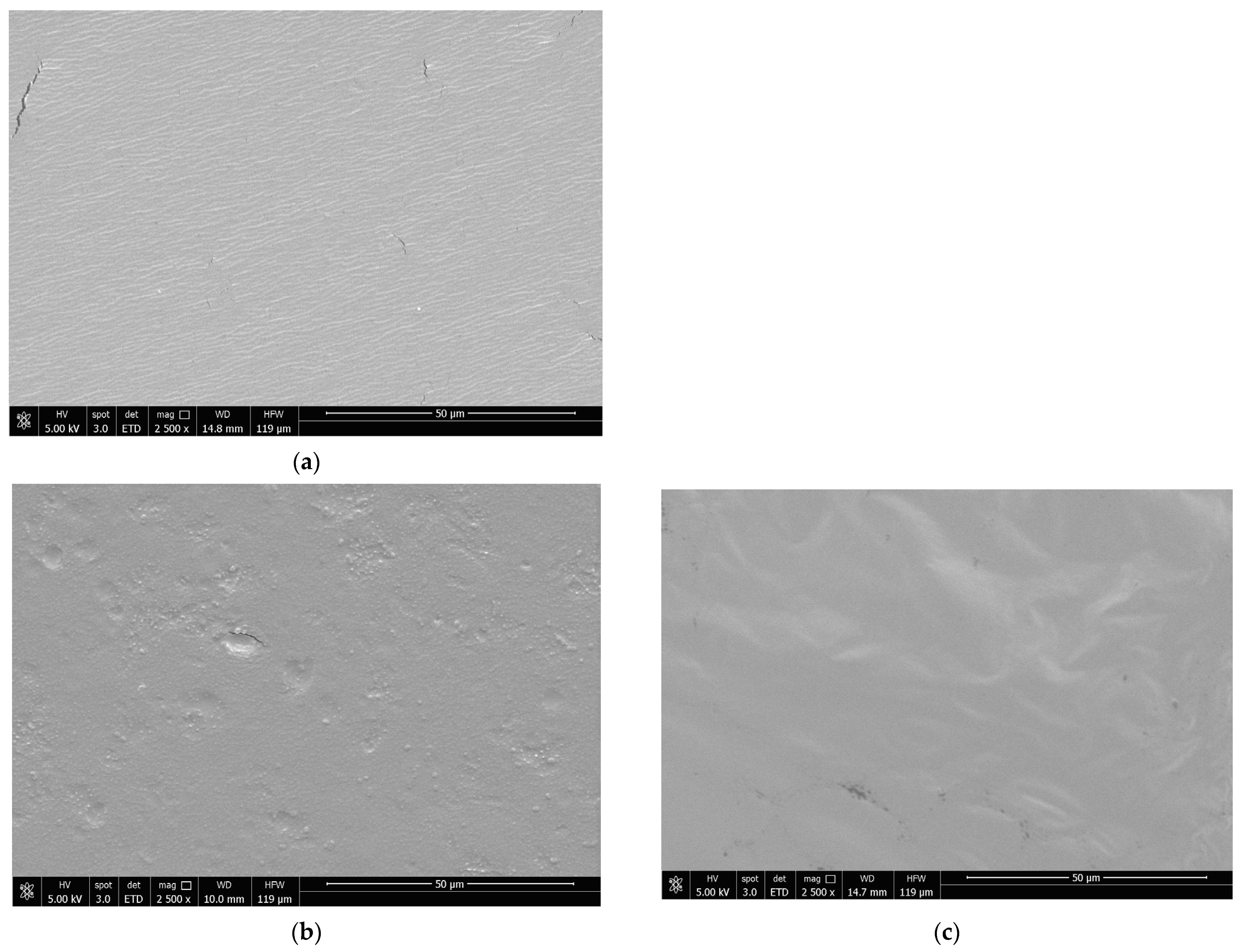 Foods 12 04076 g005a