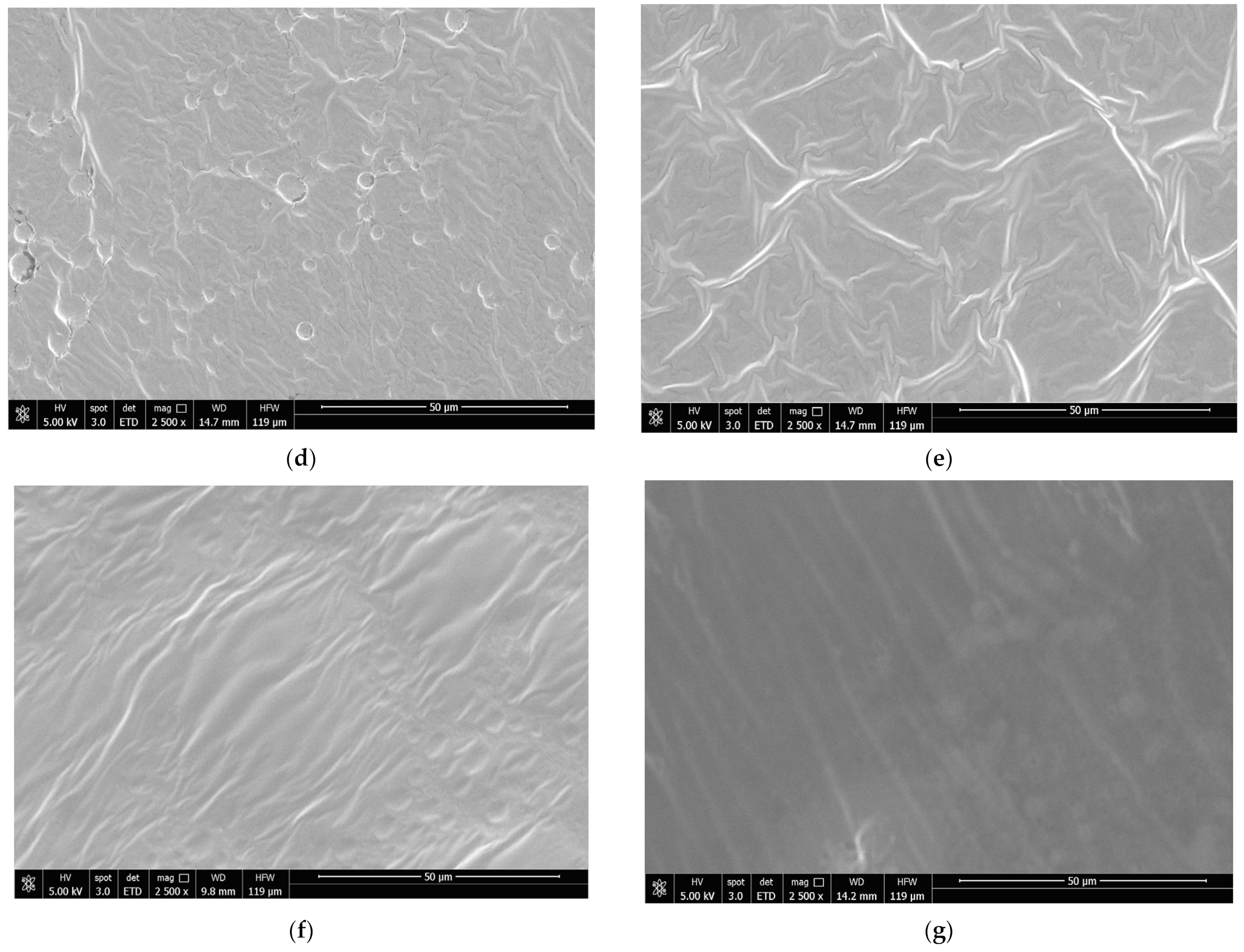 Foods 12 04076 g005b