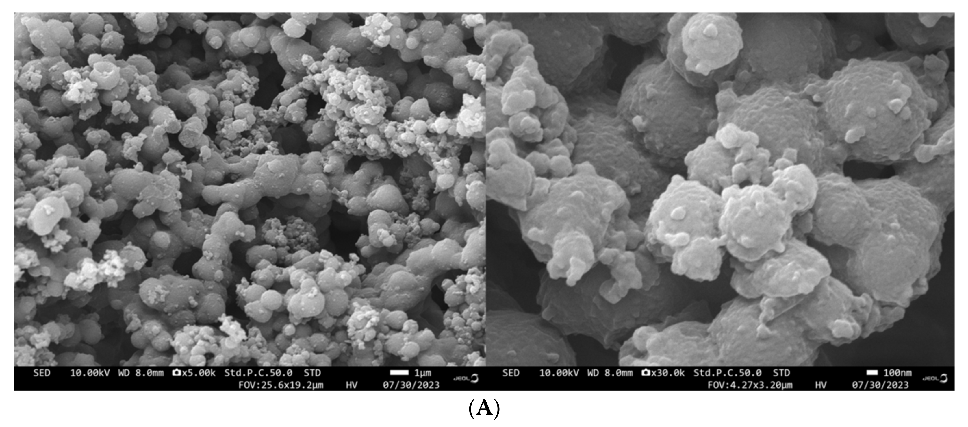 Foods 12 04077 g010a