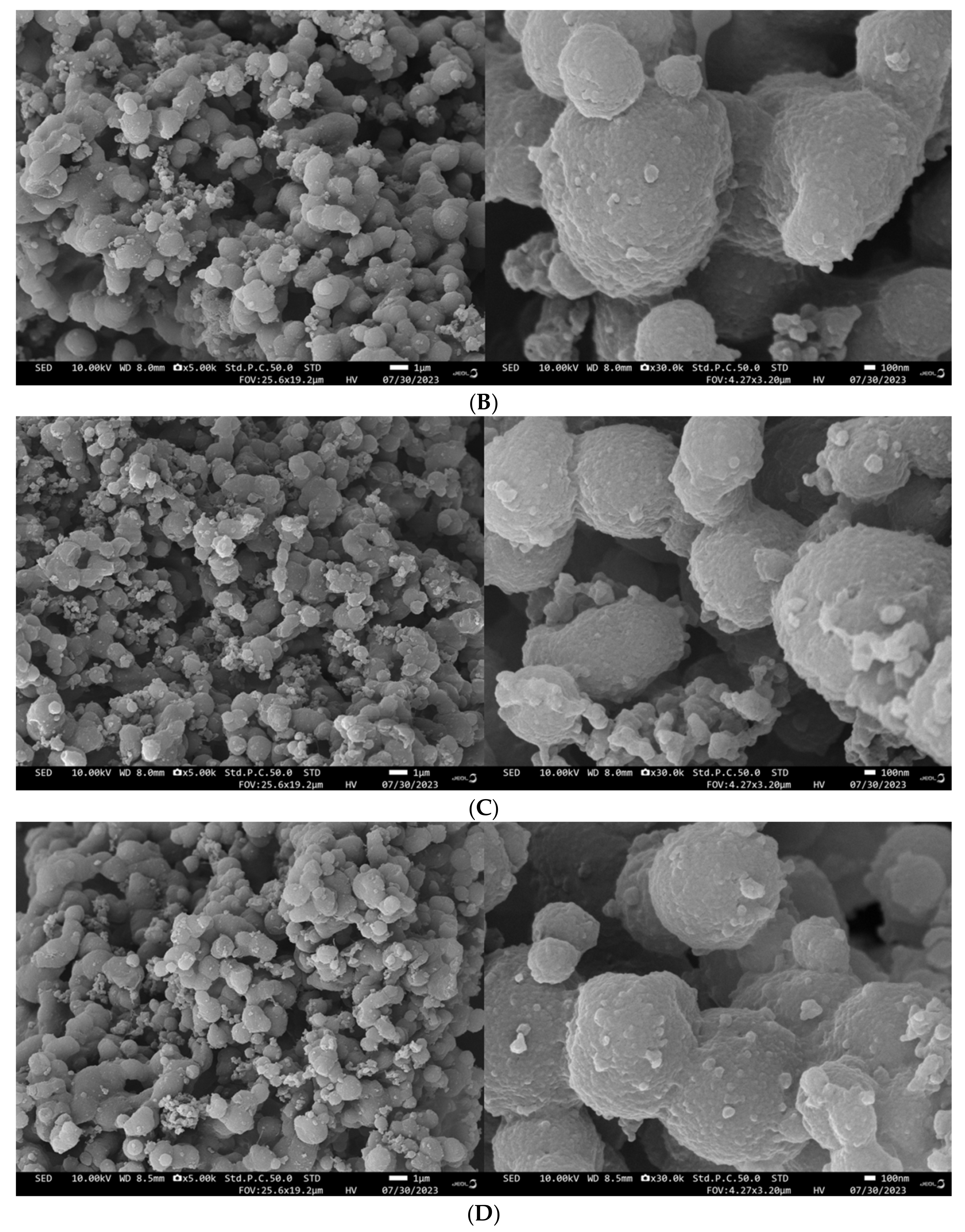 Foods 12 04077 g010b