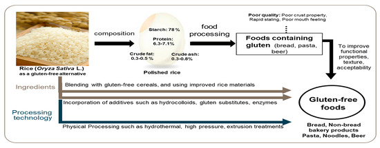 Pasta extrusion: Precooked and gluten free products