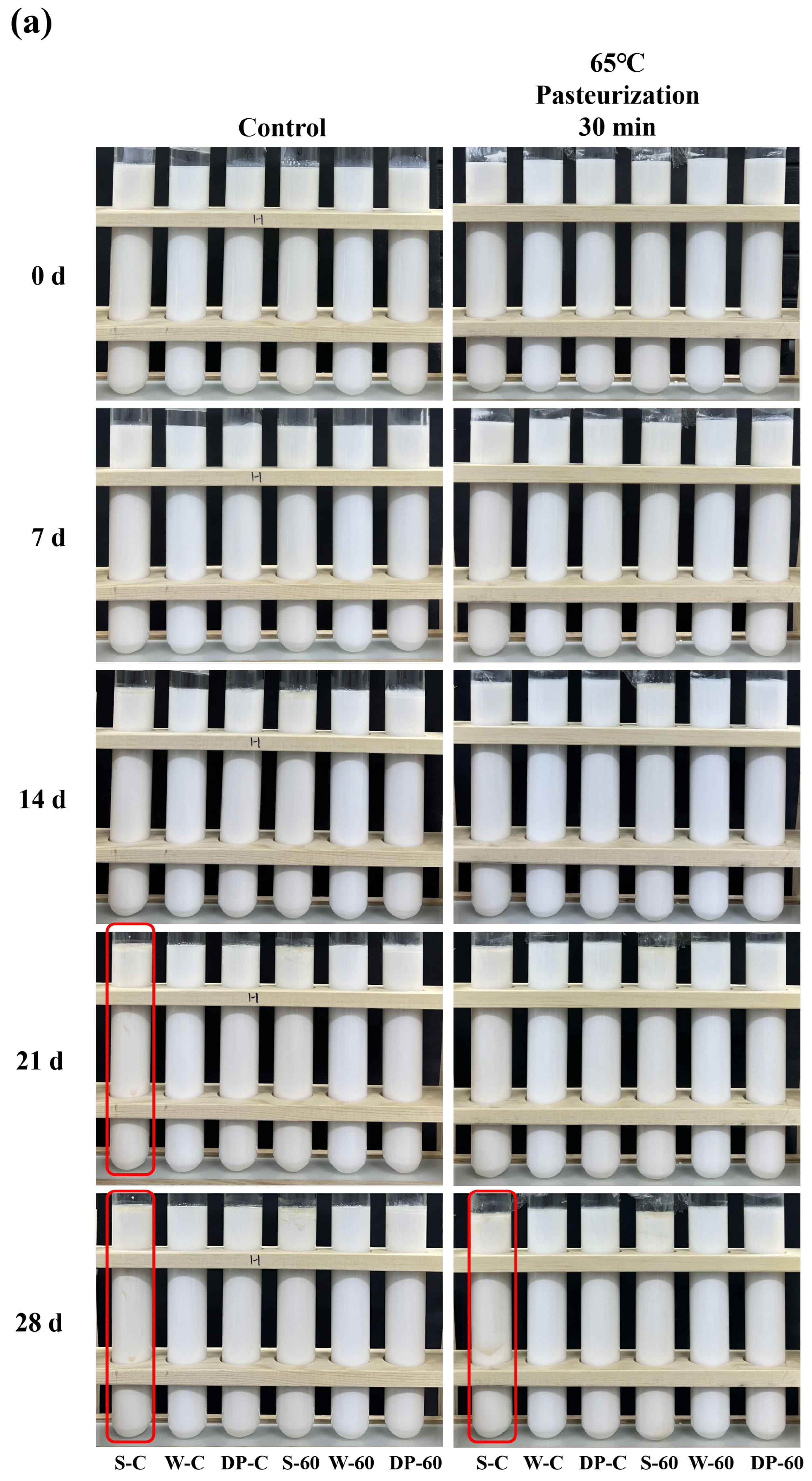 Foods 12 04141 g006a