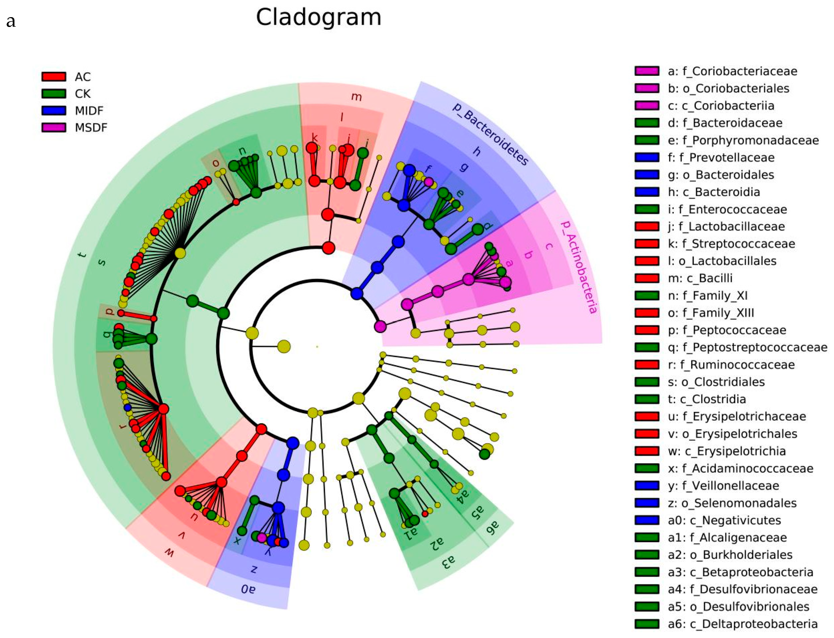 Foods 12 04148 g006a