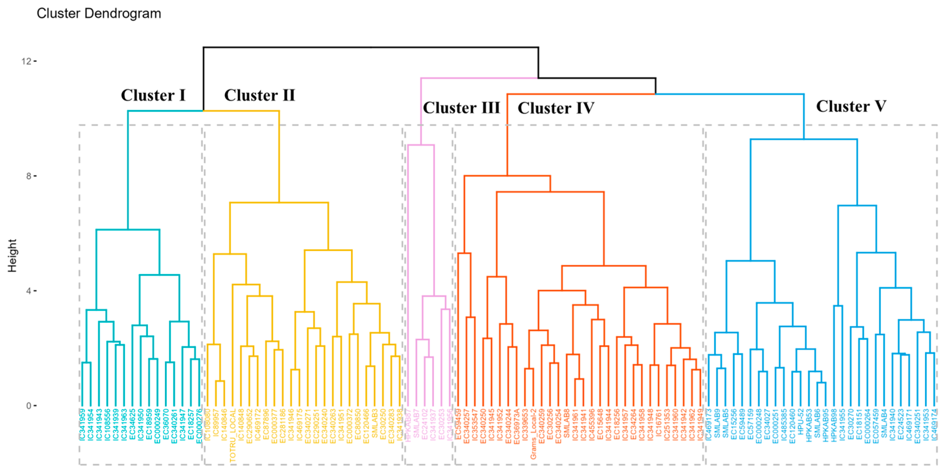 Foods 12 04159 g004 Foods 12 04159 g004