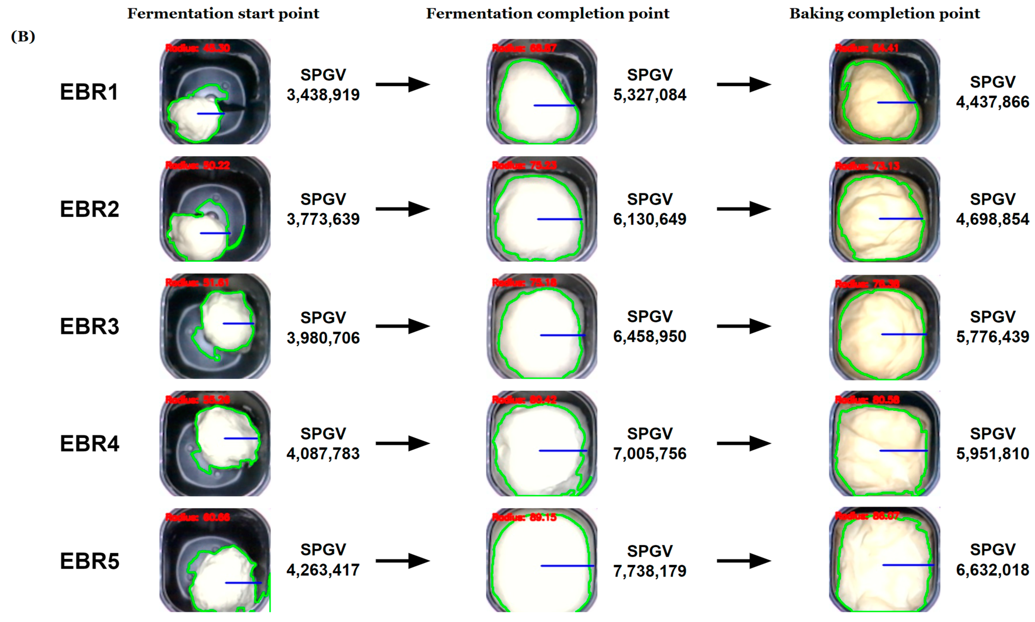 Foods 12 04160 g006b