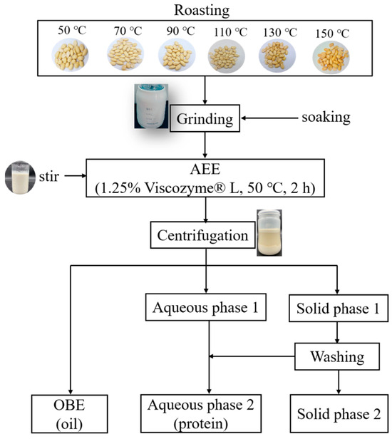 Foods Free FullText Effects of Roasting Temperatures on Peanut Oil