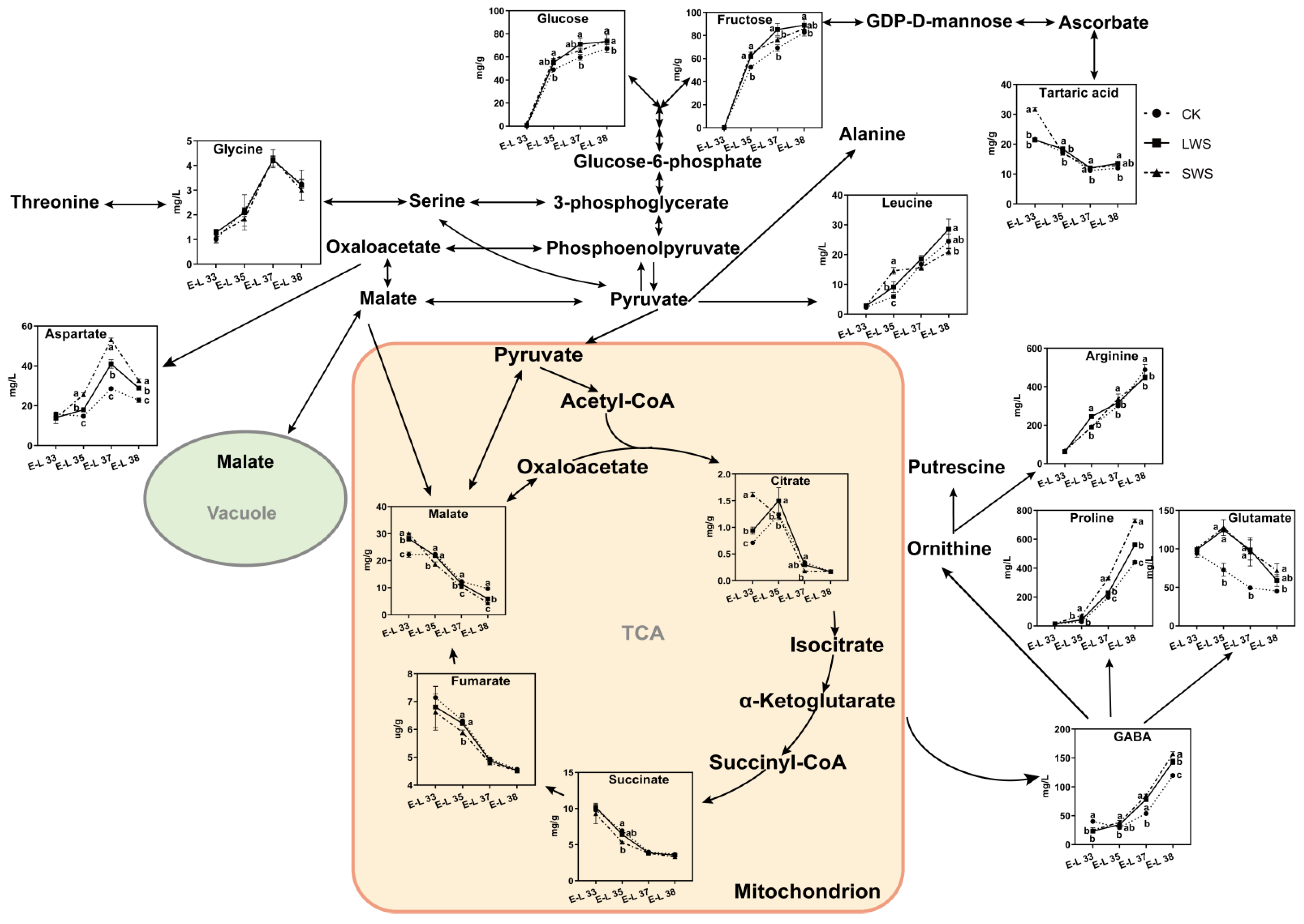 Foods 12 04191 g009 Foods 12 04191 g009