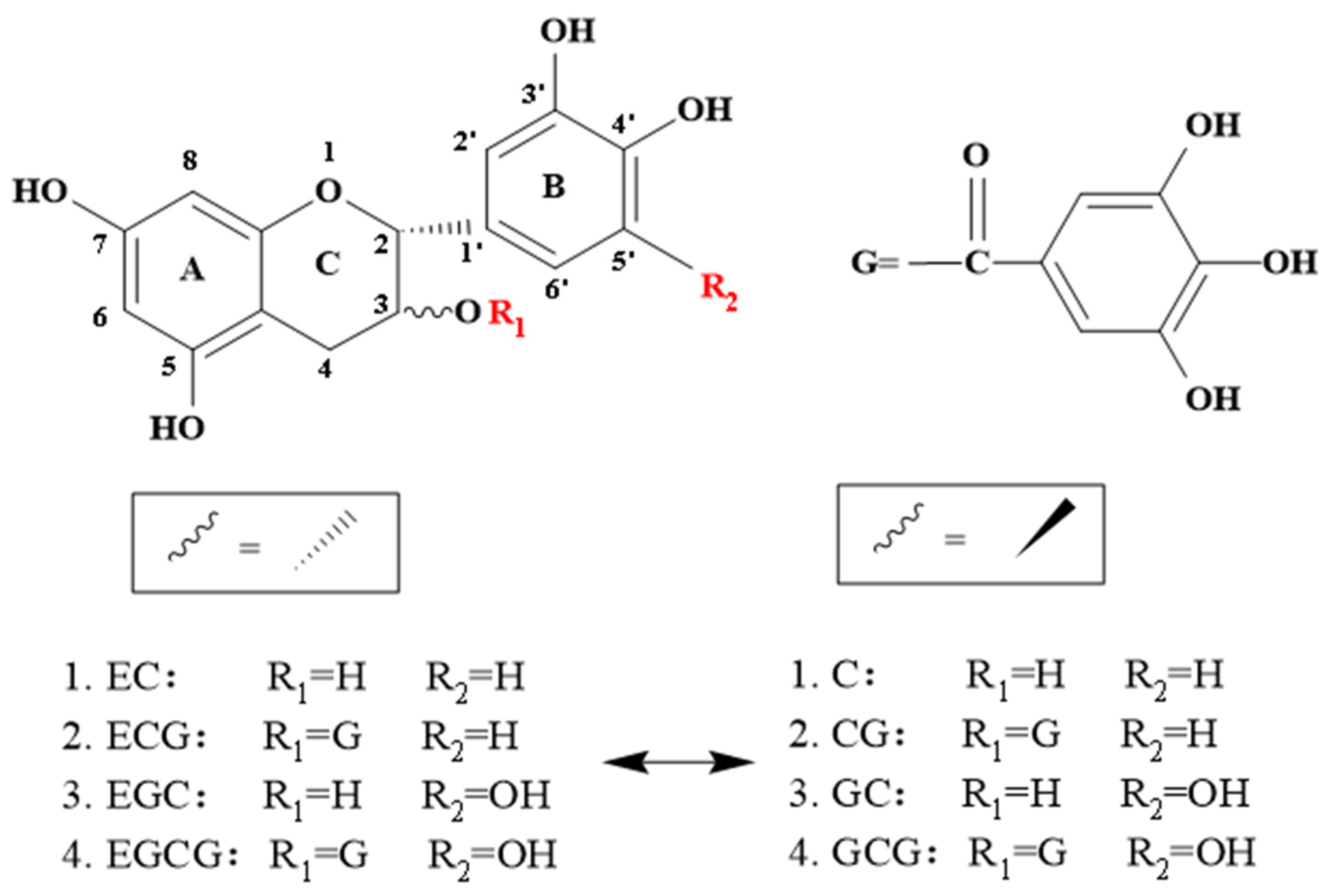 Foods 12 04207 g001 Foods 12 04207 g001