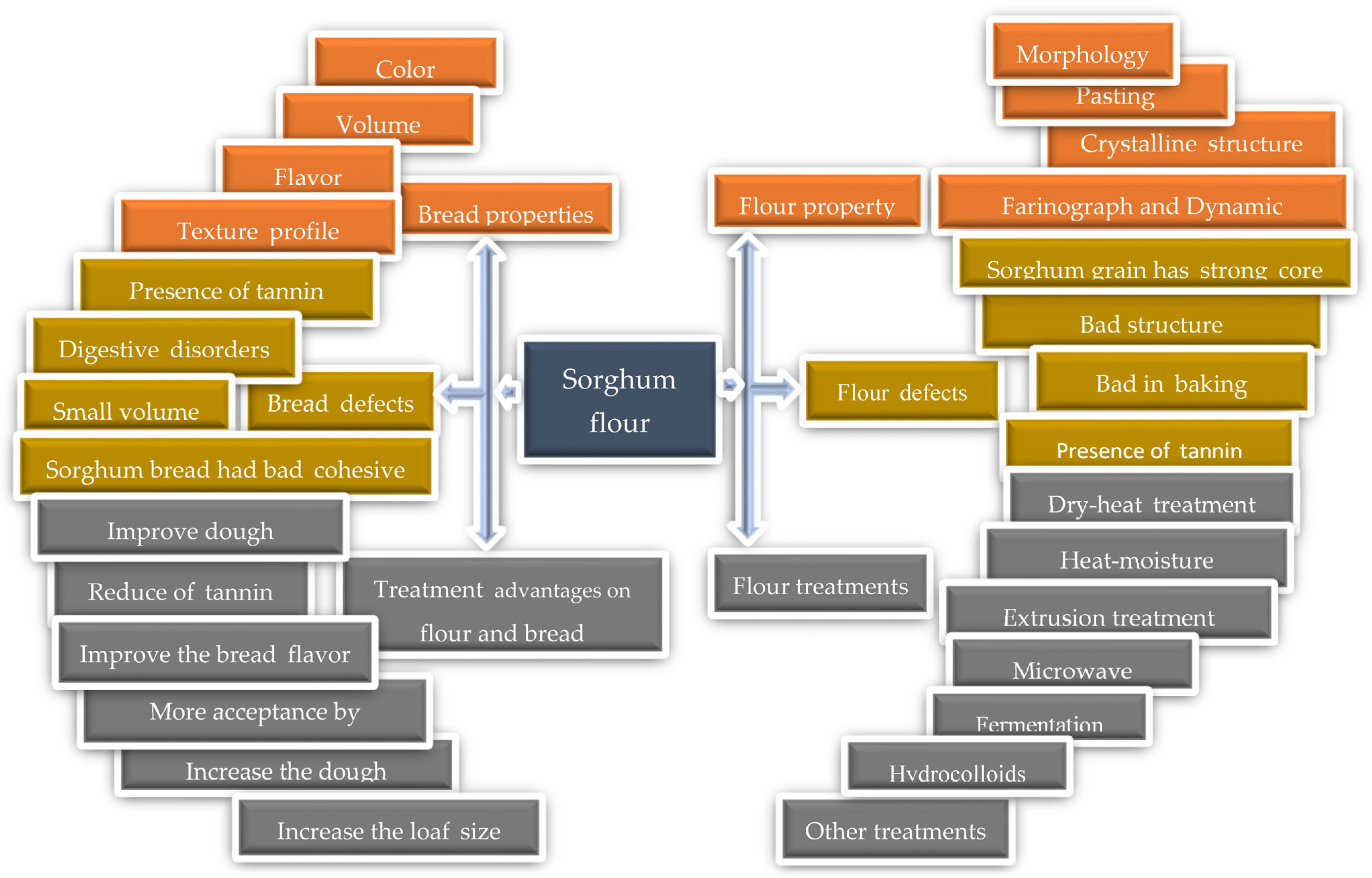 Foods 12 04221 g001 Foods 12 04221 g001