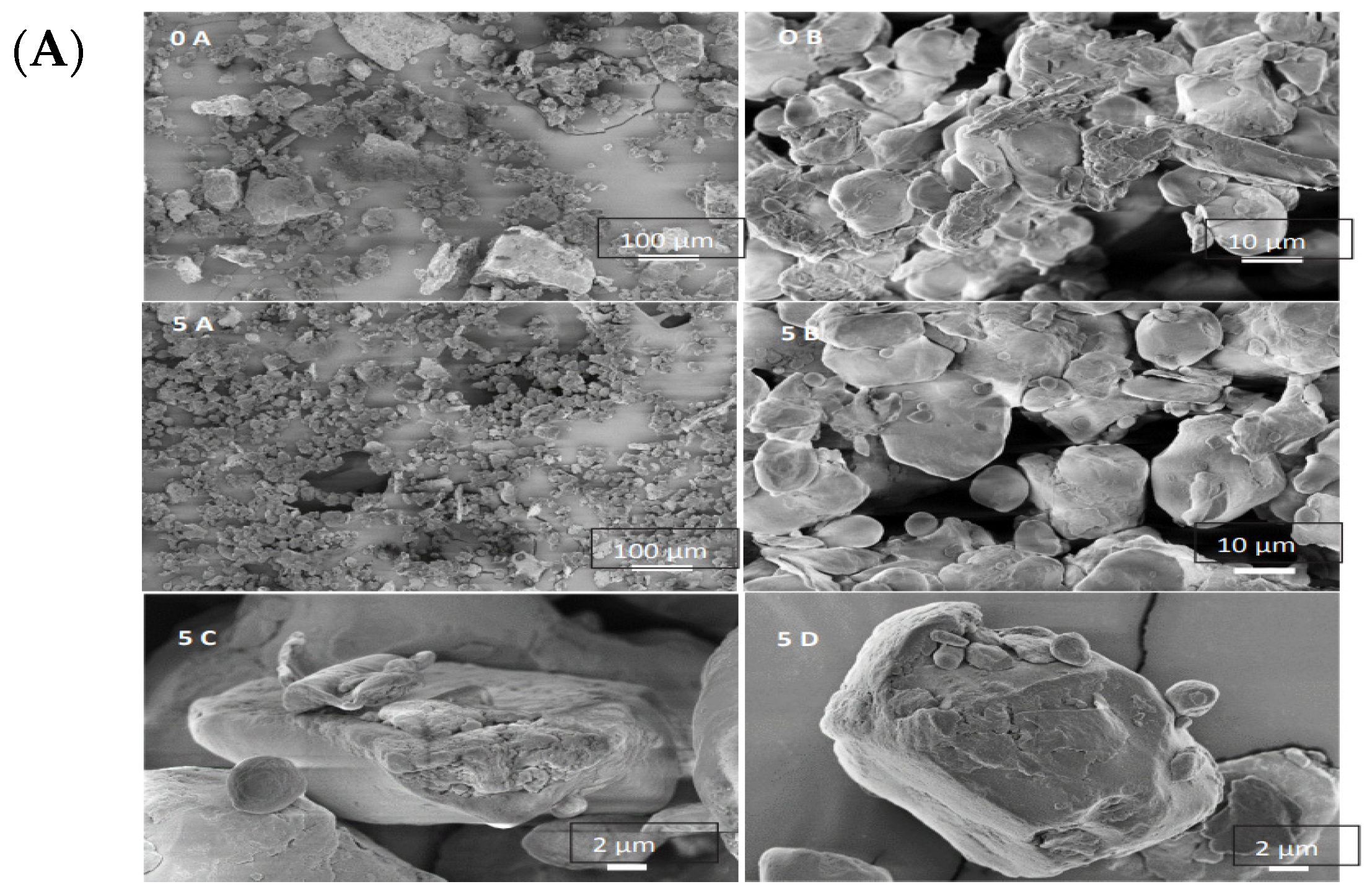 Foods 12 04221 g003a Foods 12 04221 g003a