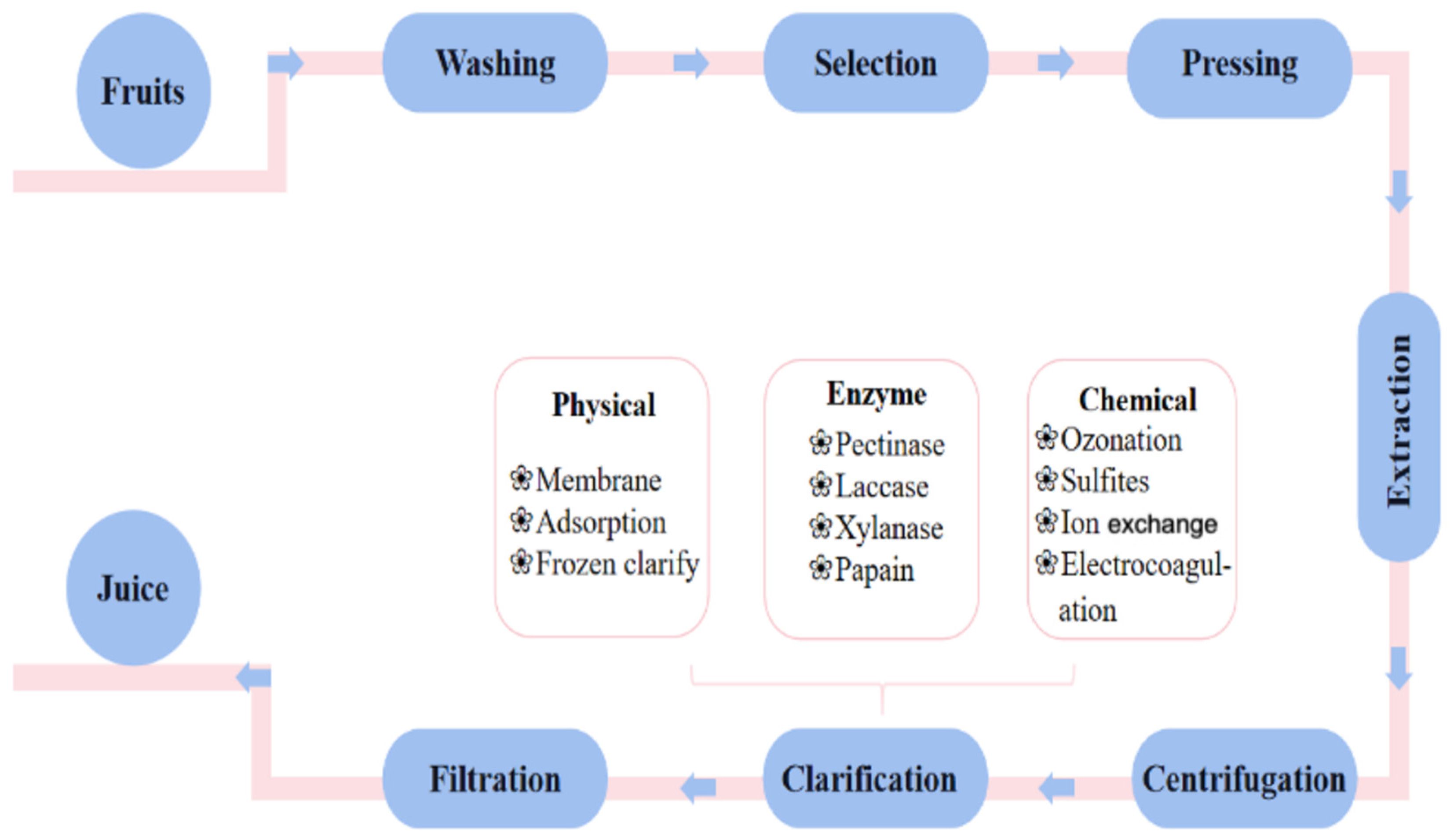 Foods Free FullText Application of Immobilized Enzymes in Juice