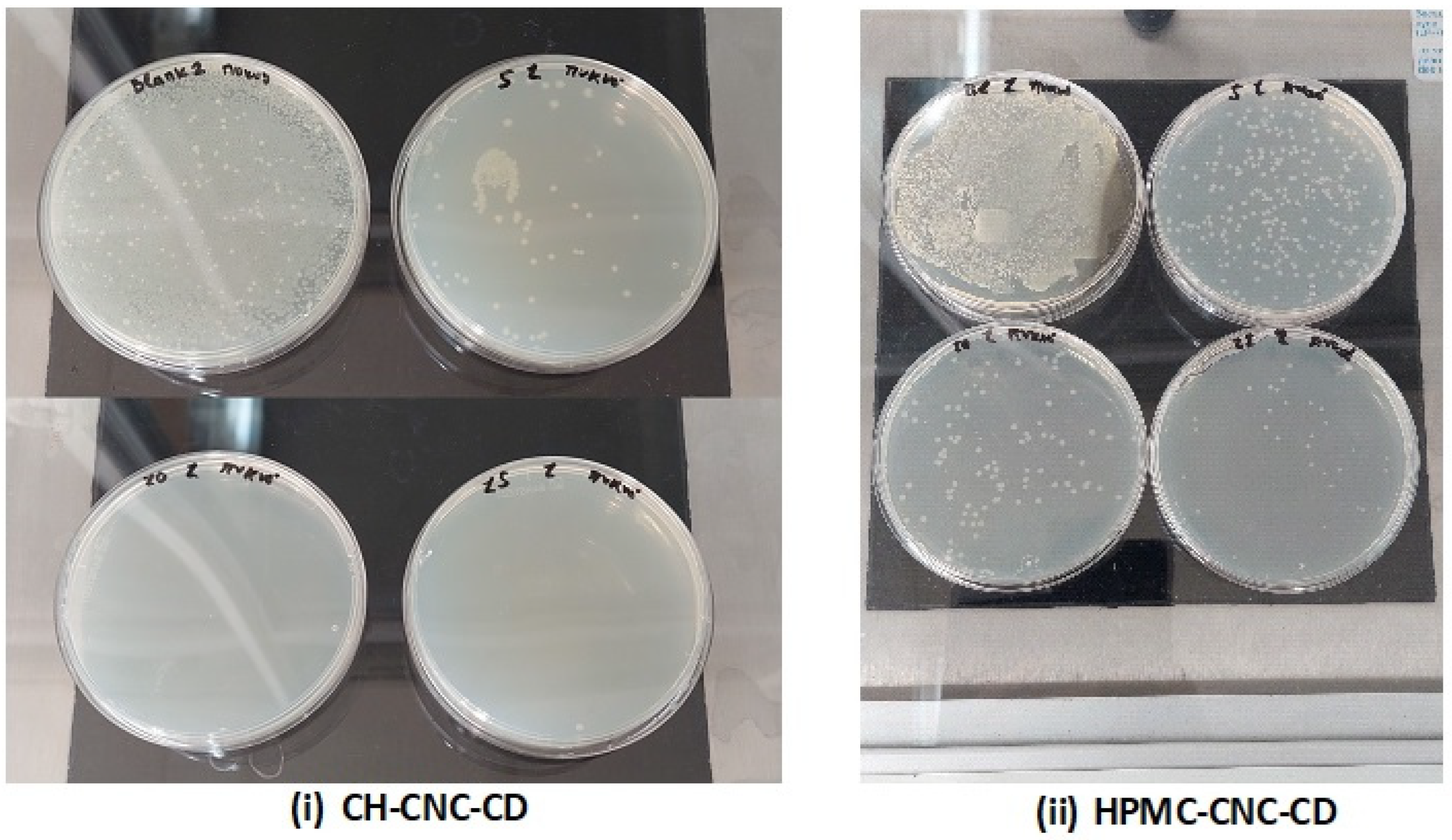 Foods | Free Full-Text | Addition of Silver Nanoparticles to