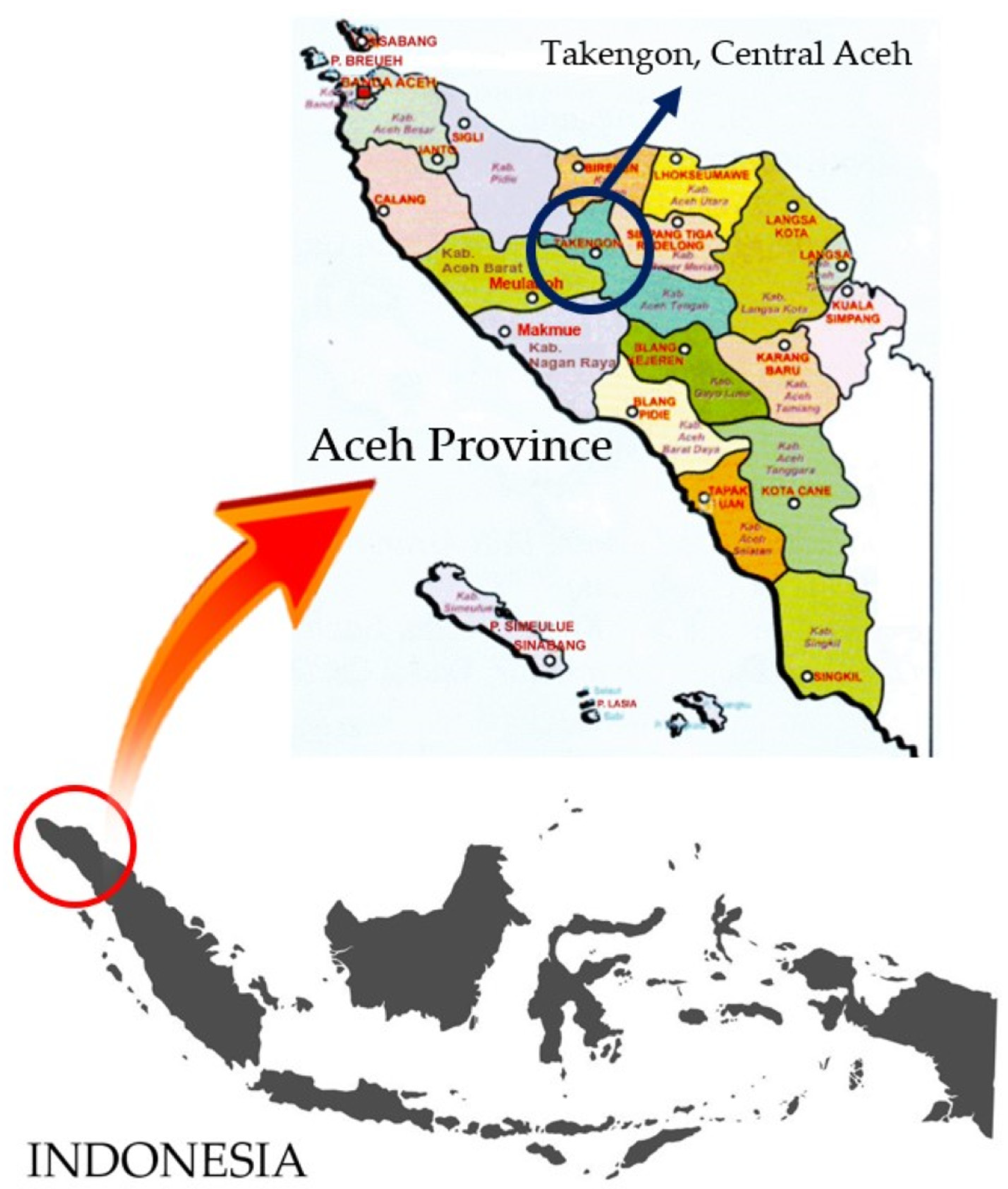 Foods 12 04302 g001 Foods 12 04302 g001