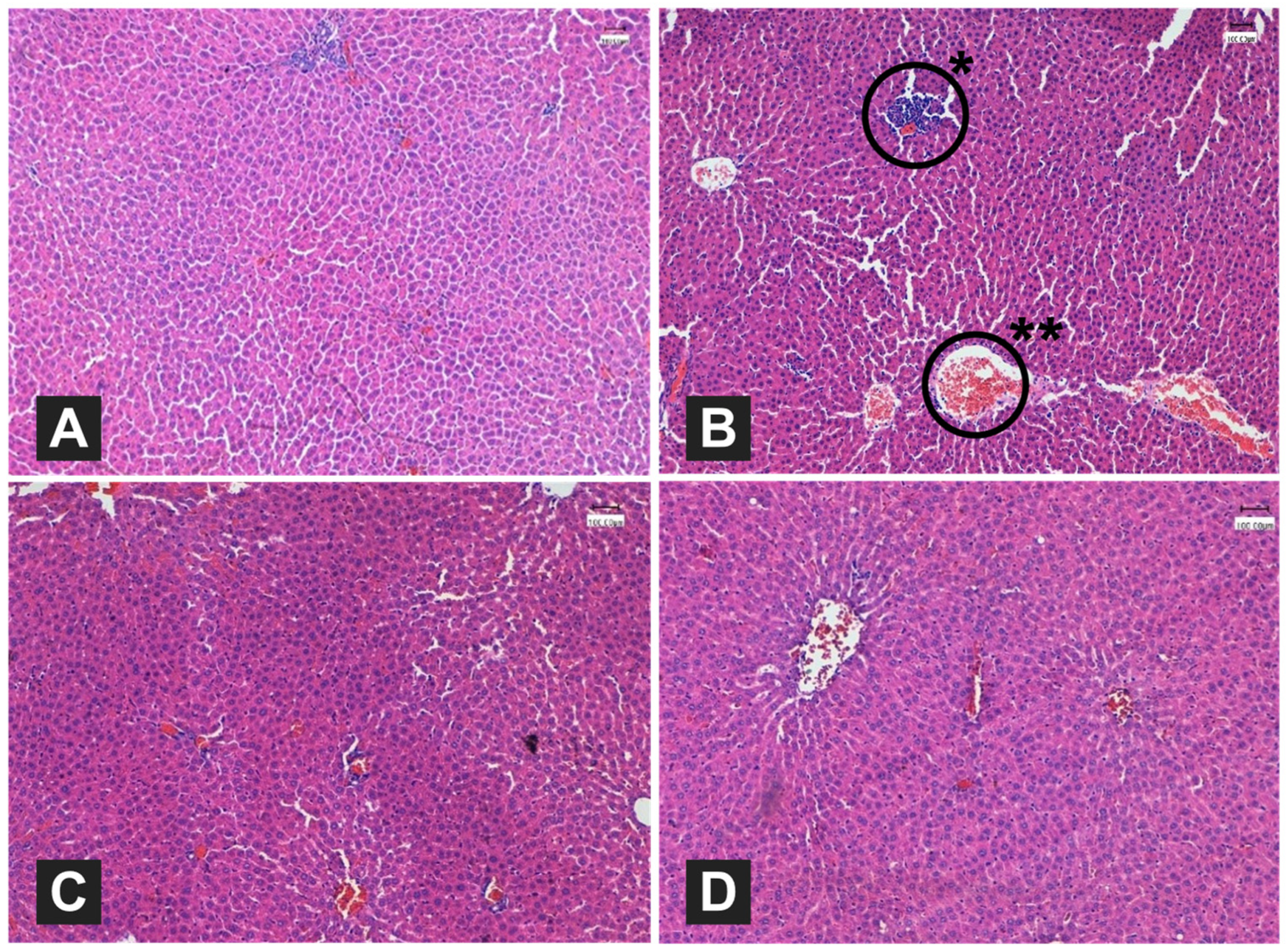 Foods 12 04303 g001 Foods 12 04303 g001