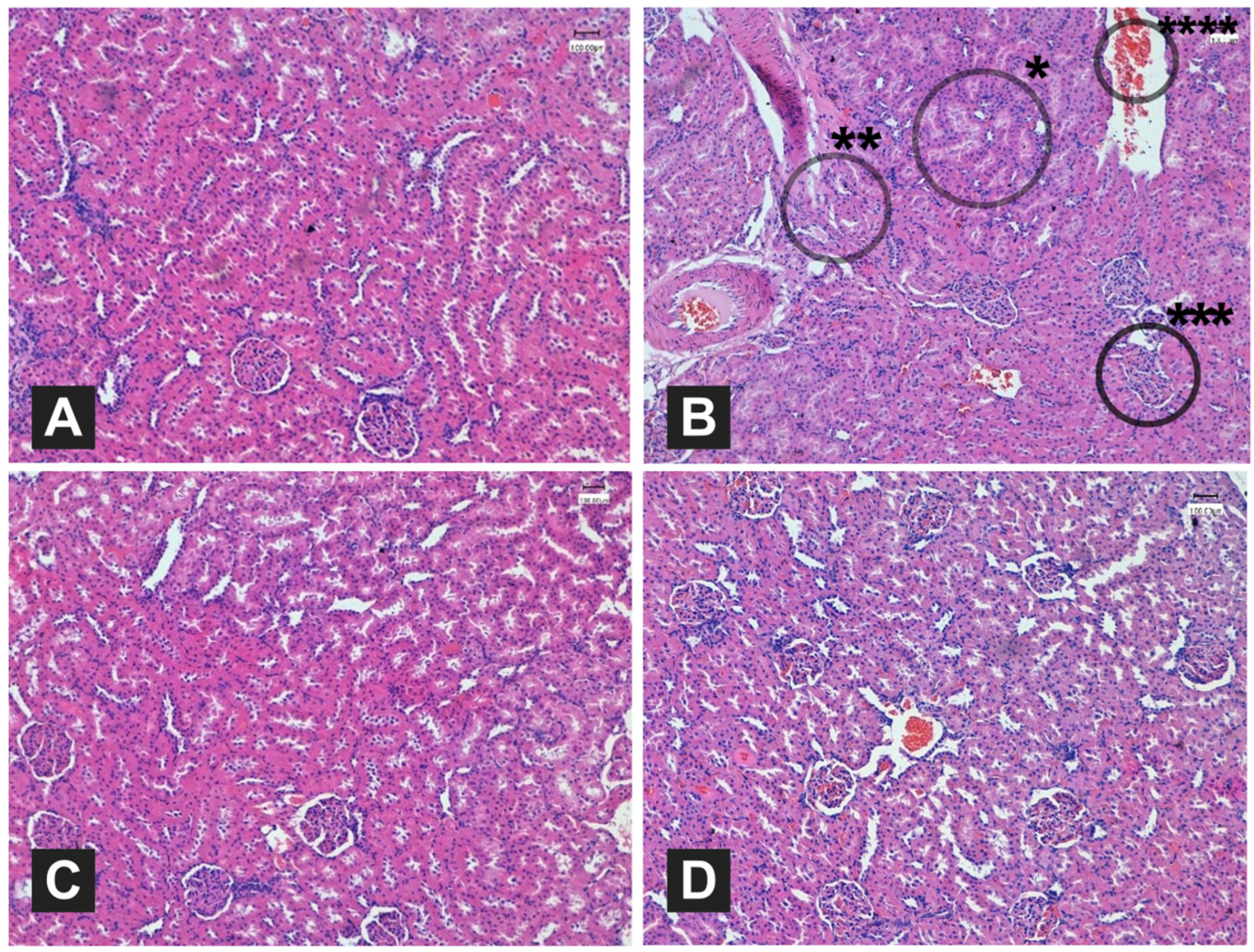 Foods 12 04303 g002 Foods 12 04303 g002