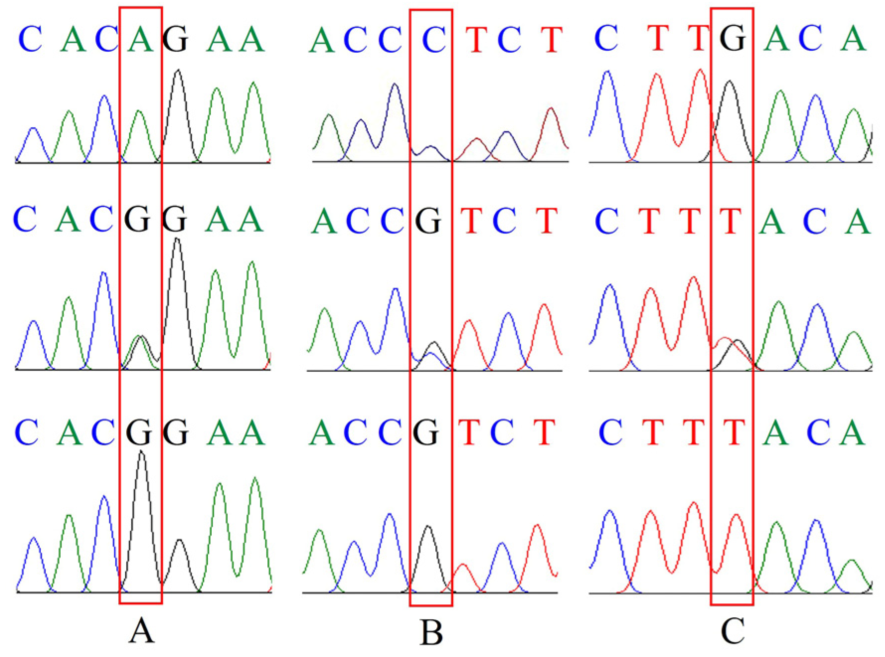 Foods 12 04318 g0a1 Foods 12 04318 g0a1