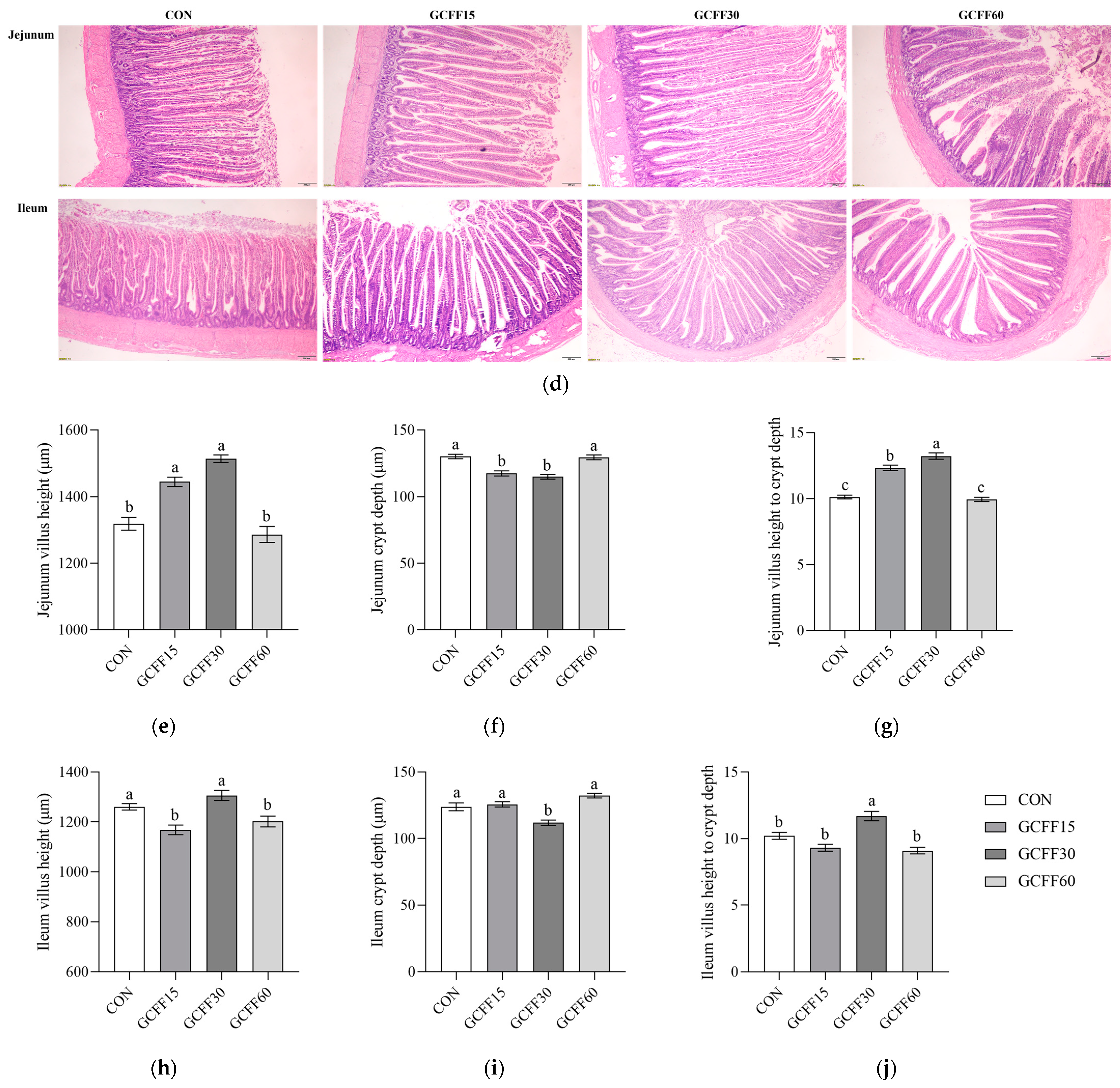 Foods 12 04336 g001b