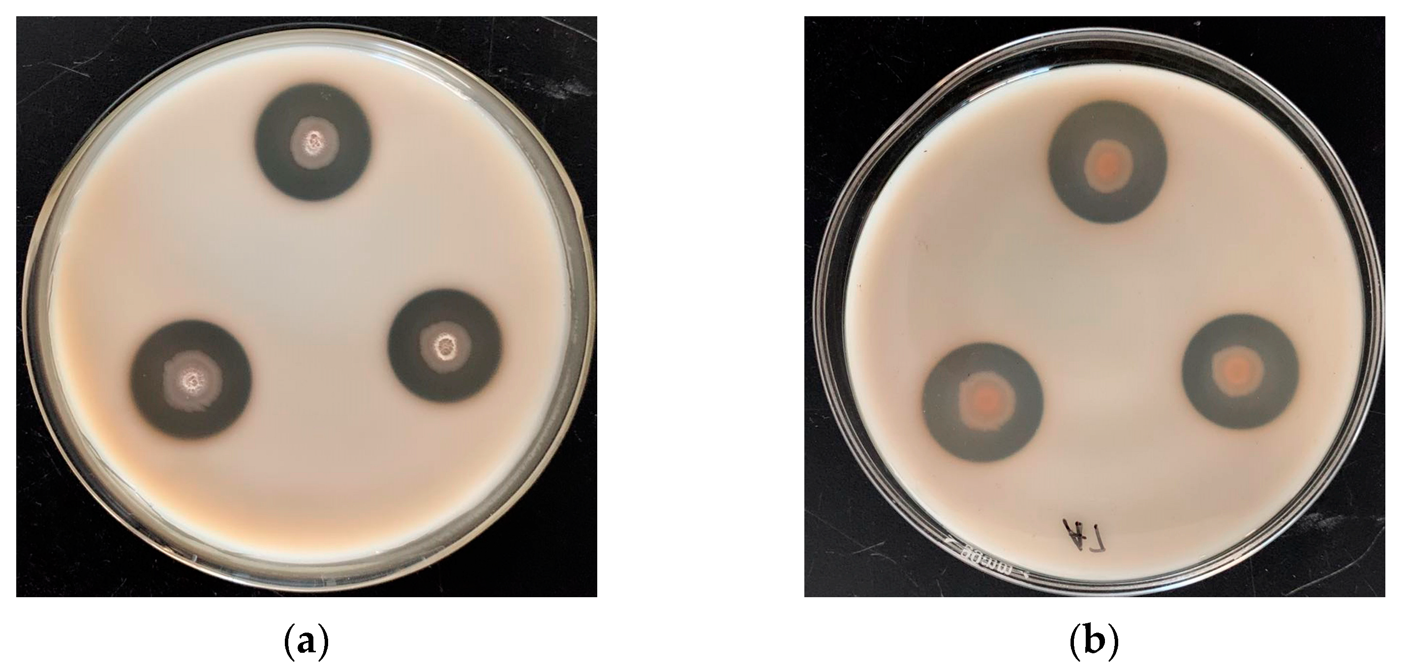 Foods 12 04336 g0a1a