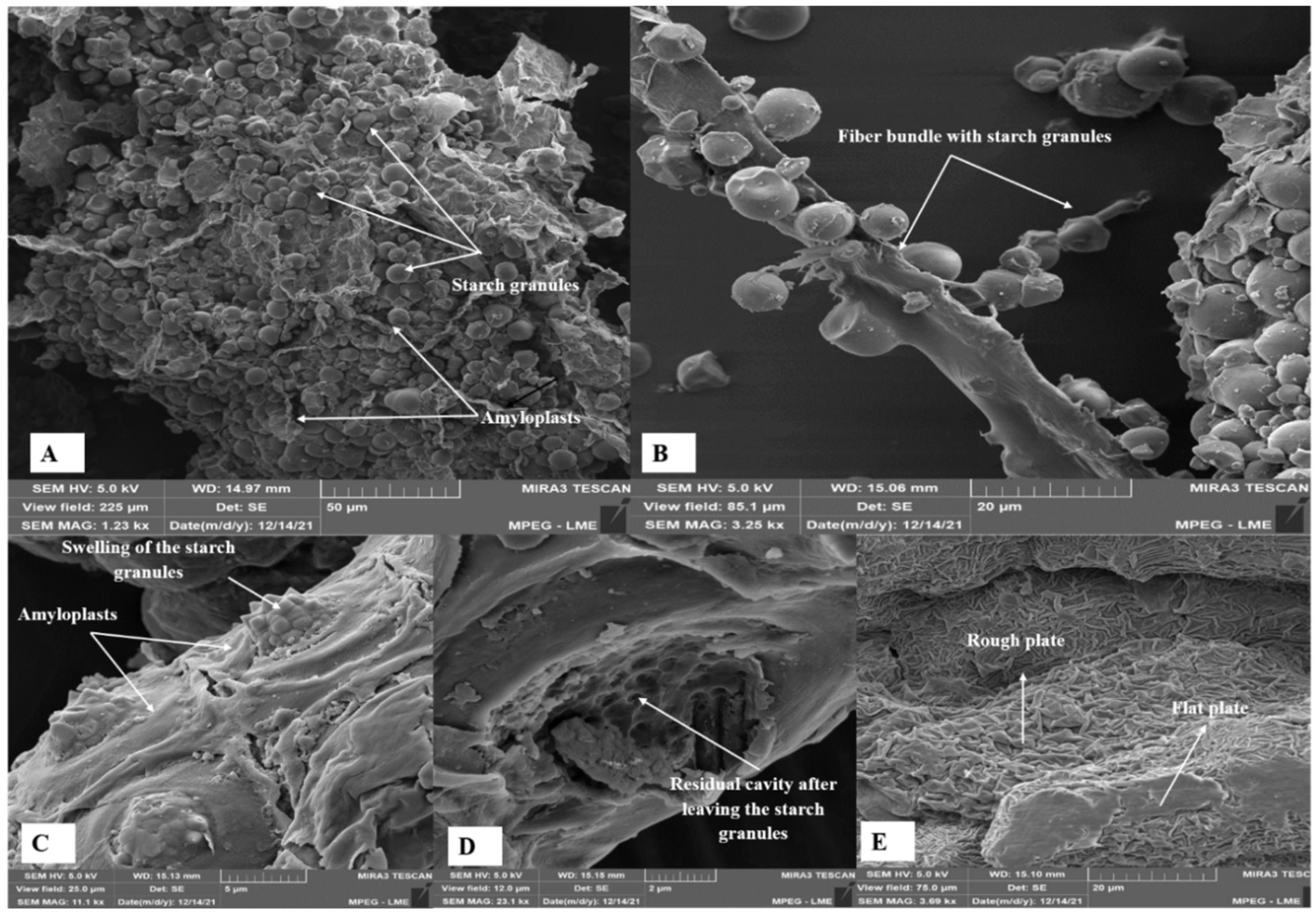 Foods 12 04344 g003 Foods 12 04344 g003