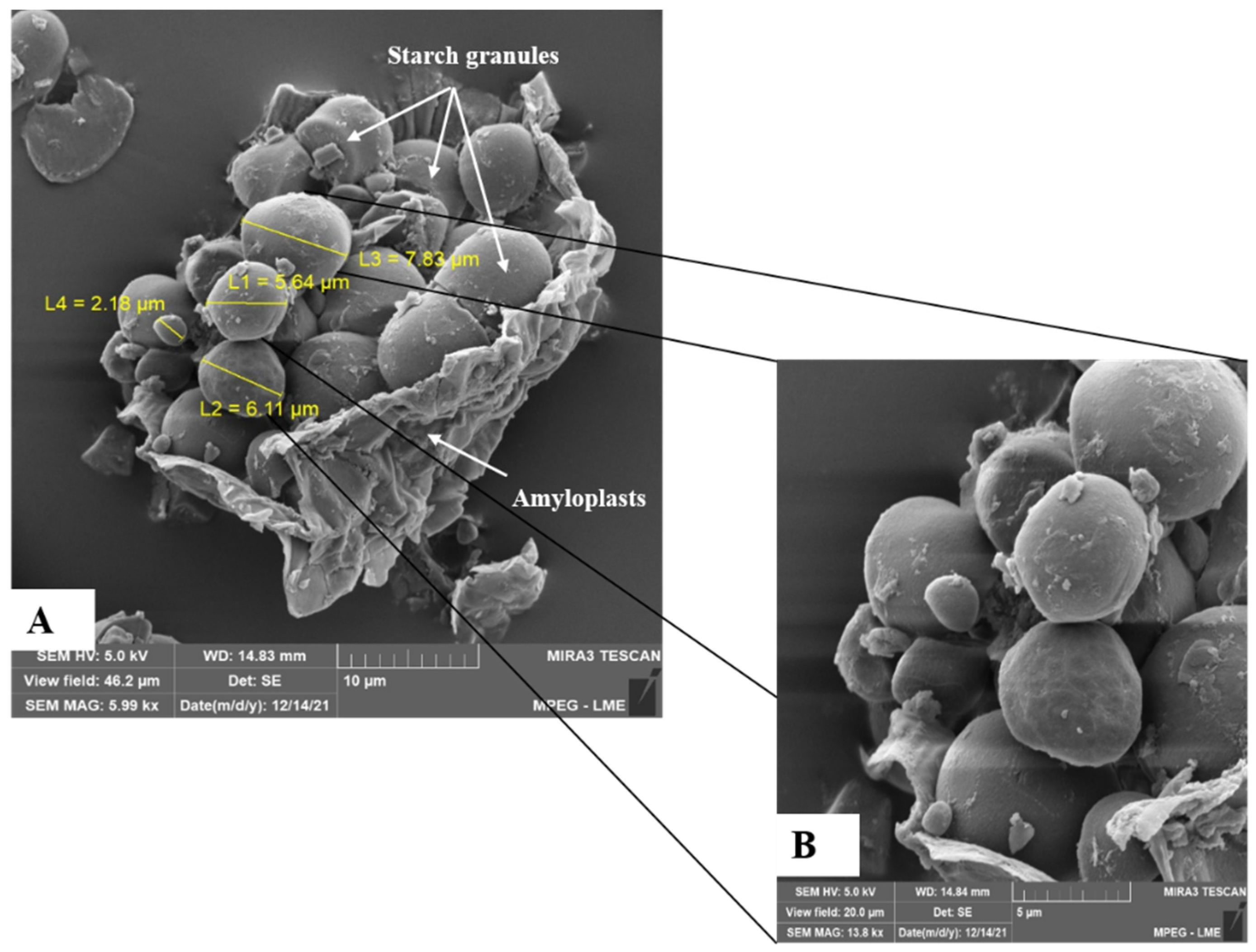 Foods 12 04344 g004 Foods 12 04344 g004