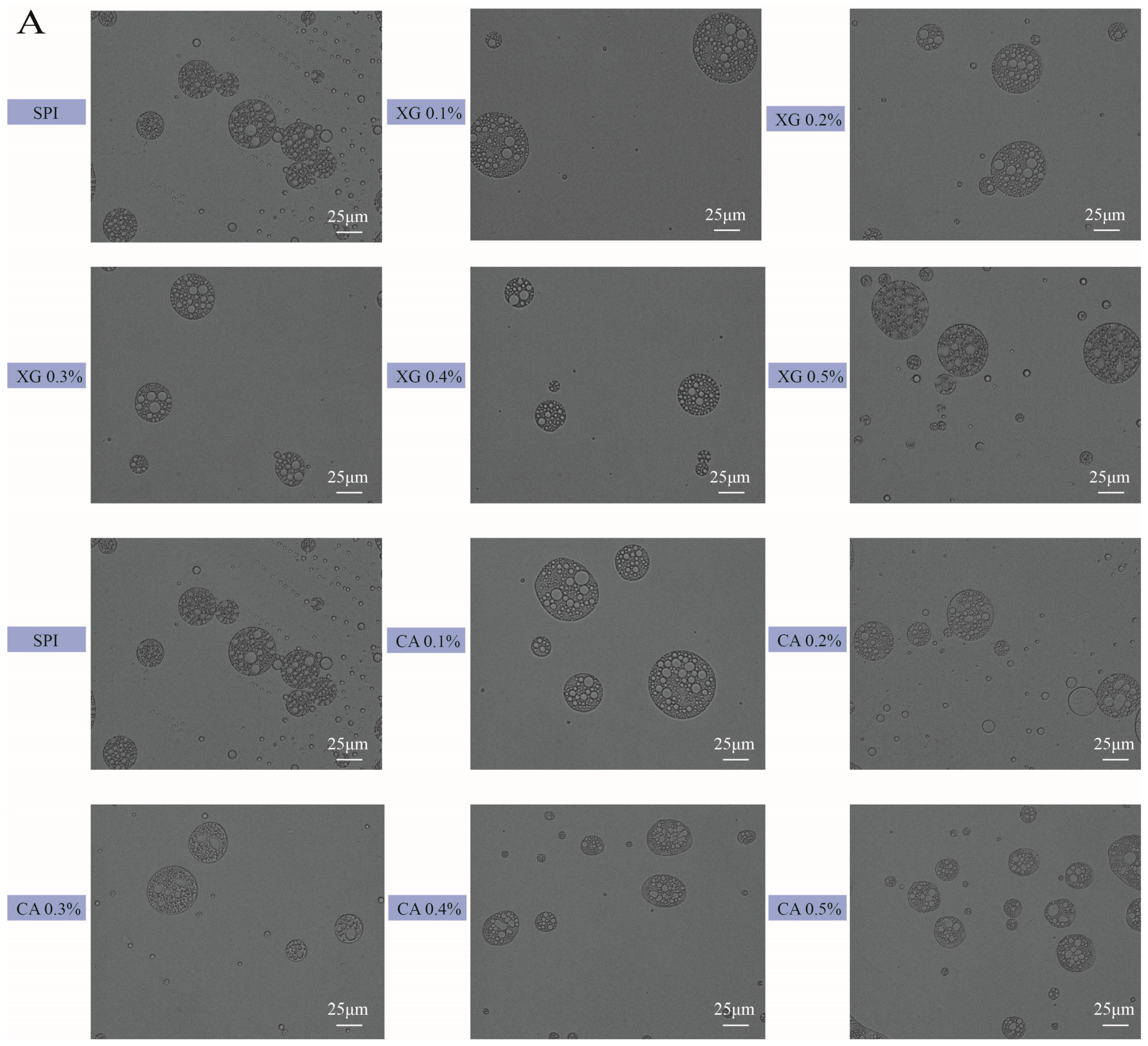 Foods 12 04361 g003a