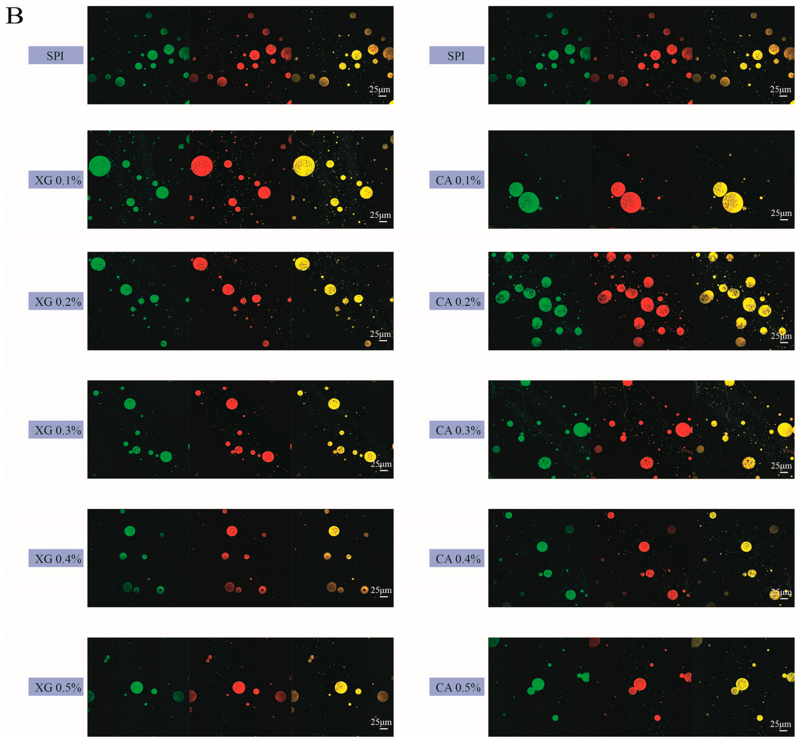 Foods 12 04361 g003b
