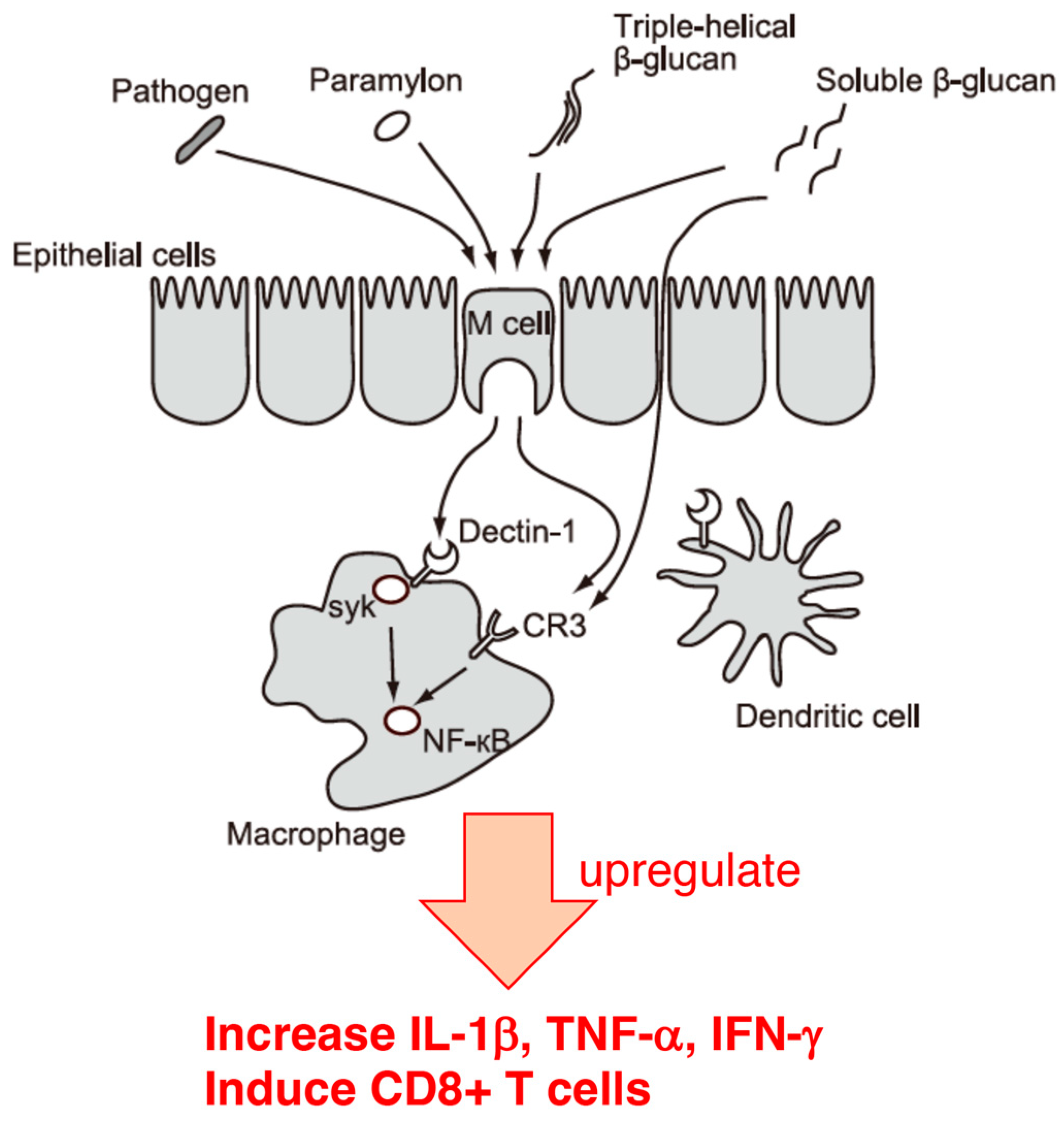 Foods 12 04438 g002 Foods 12 04438 g002