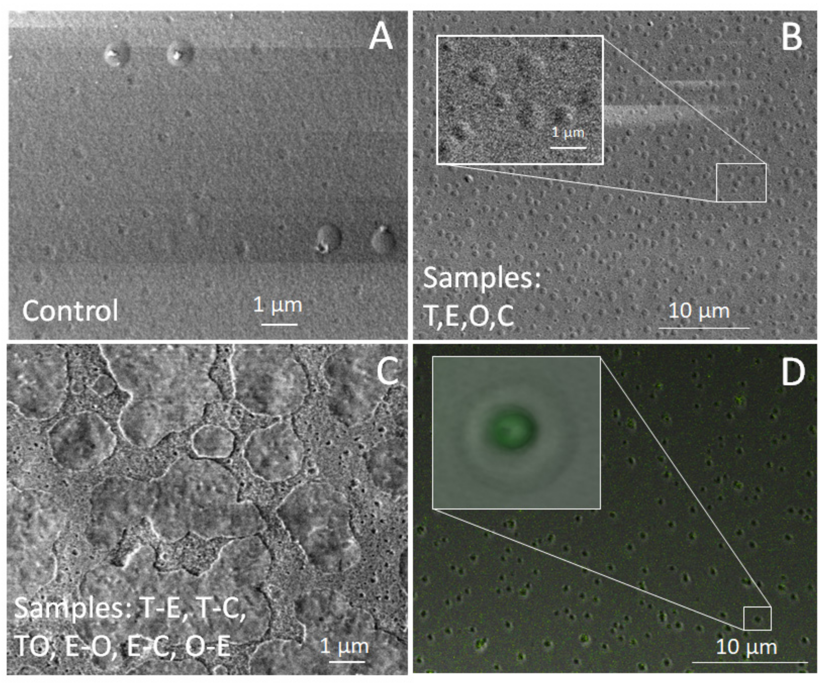 Foods 12 04454 g001 Foods 12 04454 g001