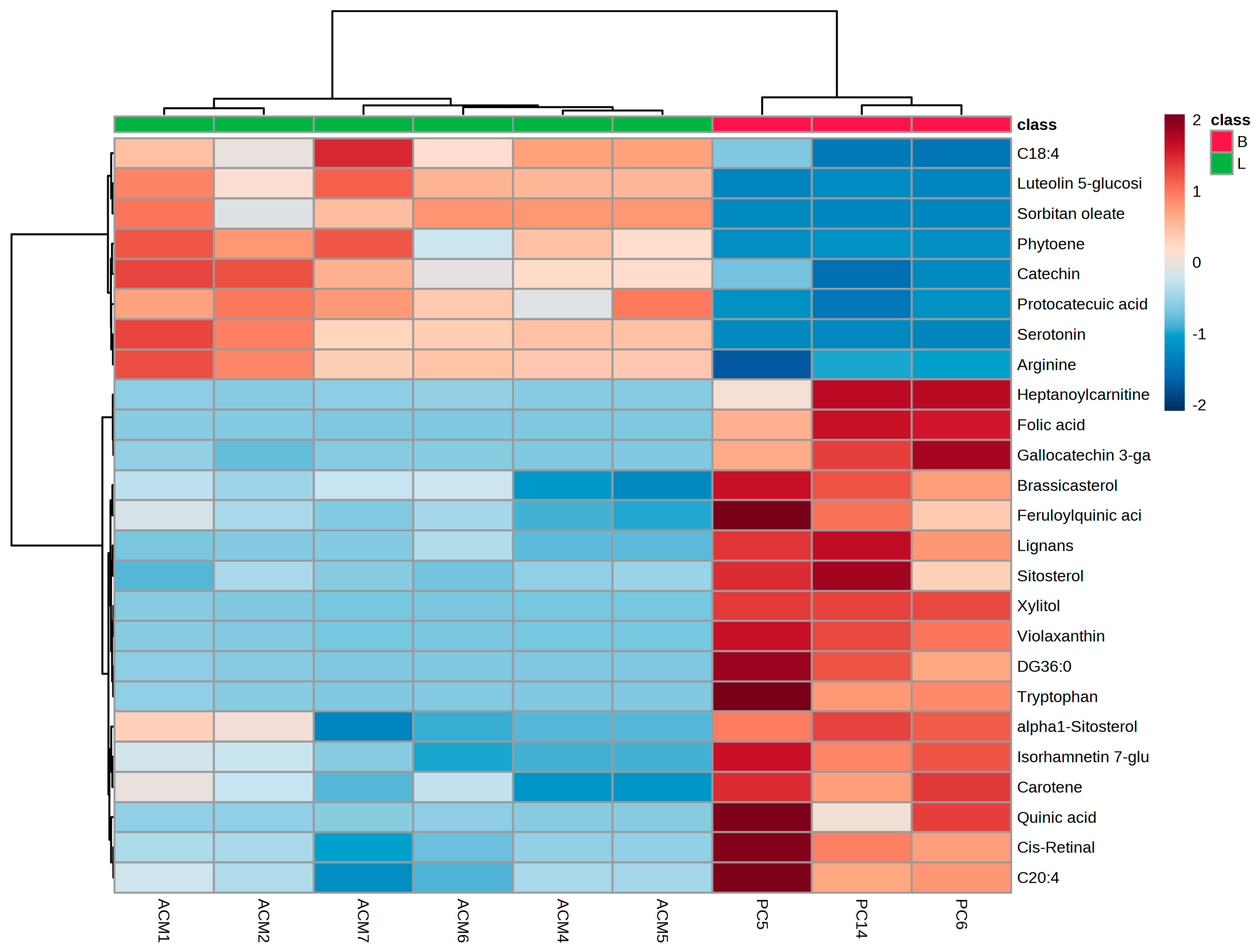 Foods 12 04493 g003 Foods 12 04493 g003