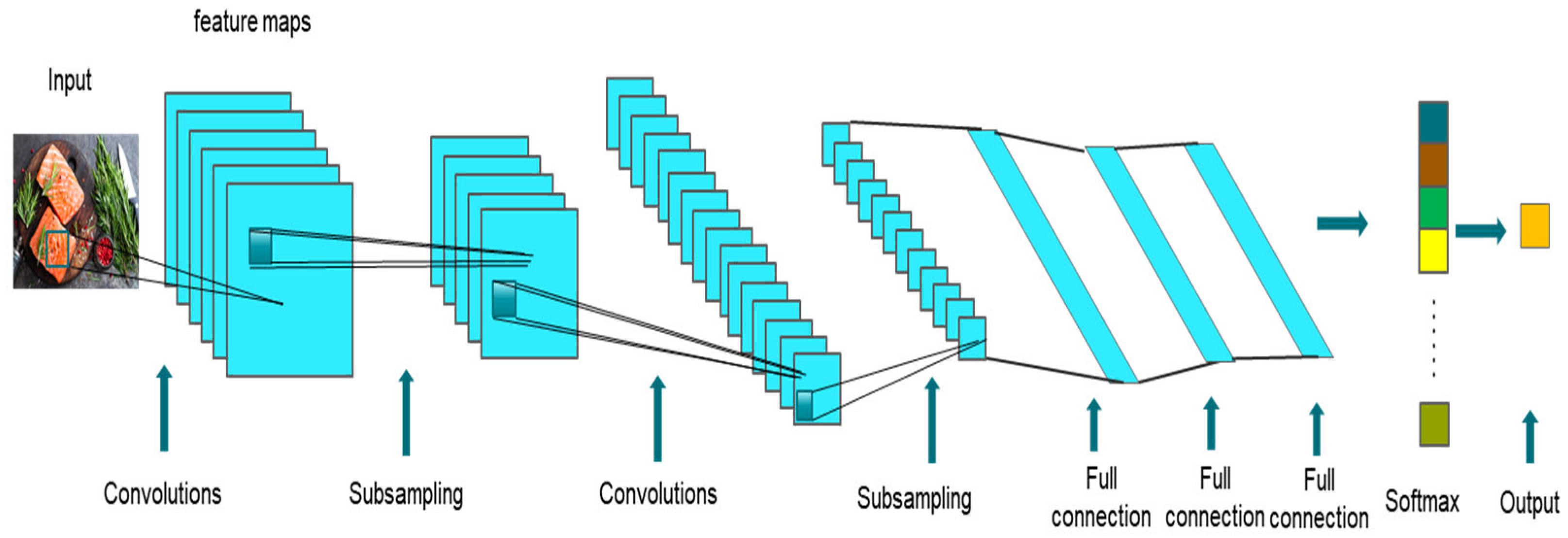 Foods 12 04511 g007 Foods 12 04511 g007