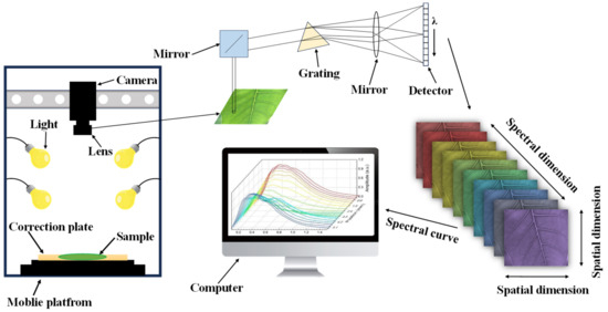 Research Review on Quality Detection of Fresh Tea Leaves