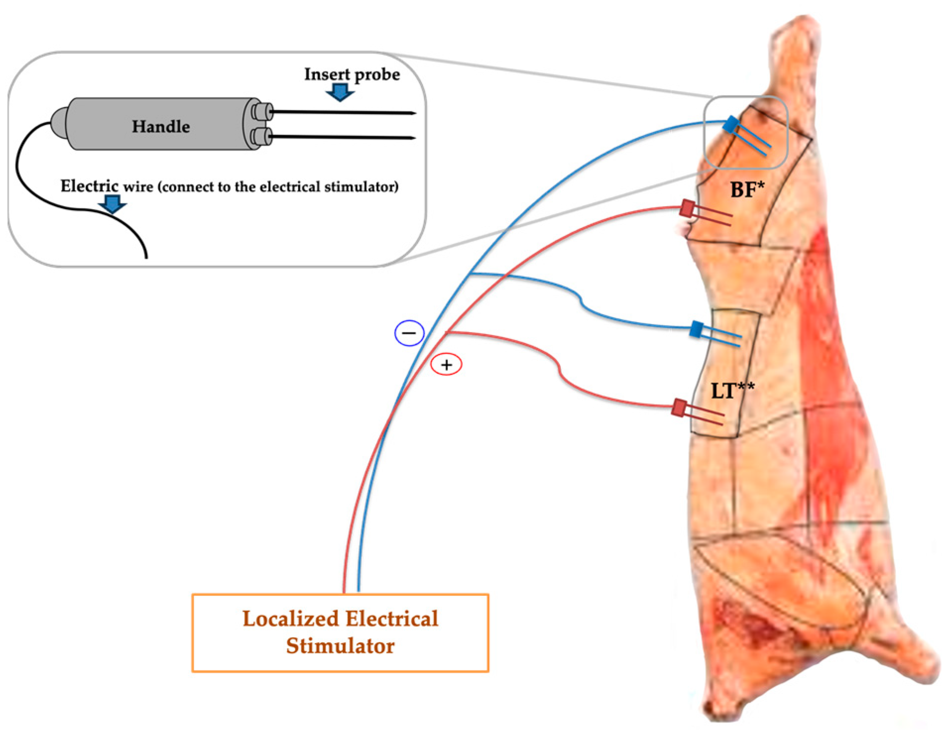 Foods 13 00037 g001 Foods 13 00037 g001