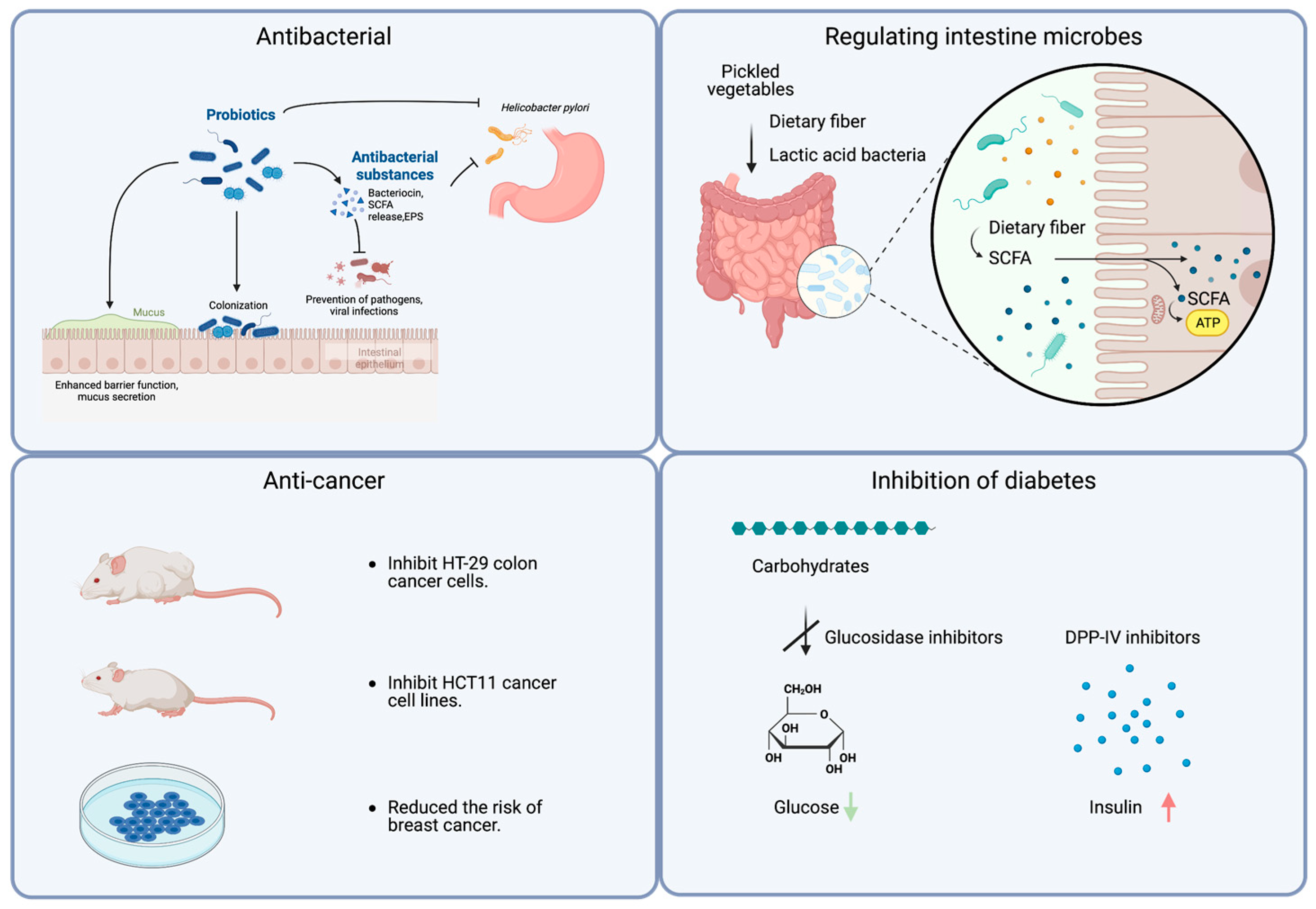 Foods 13 00038 g003 Foods 13 00038 g003
