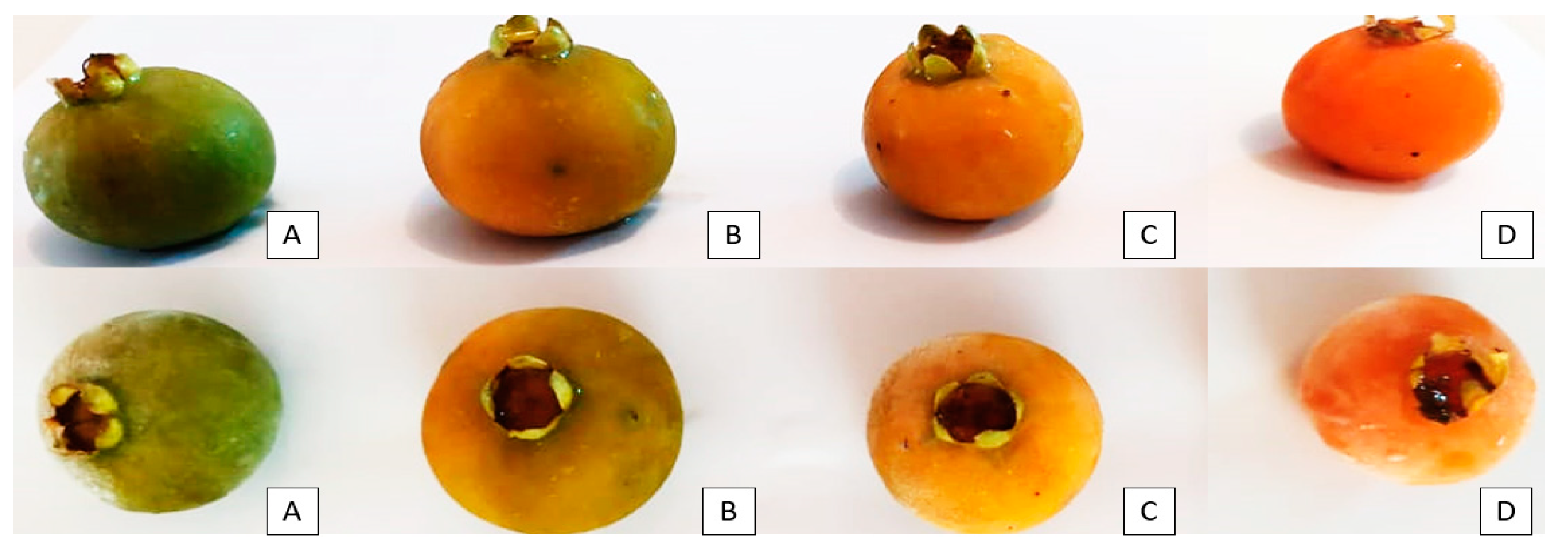 Foods 13 00123 g001 Foods 13 00123 g001