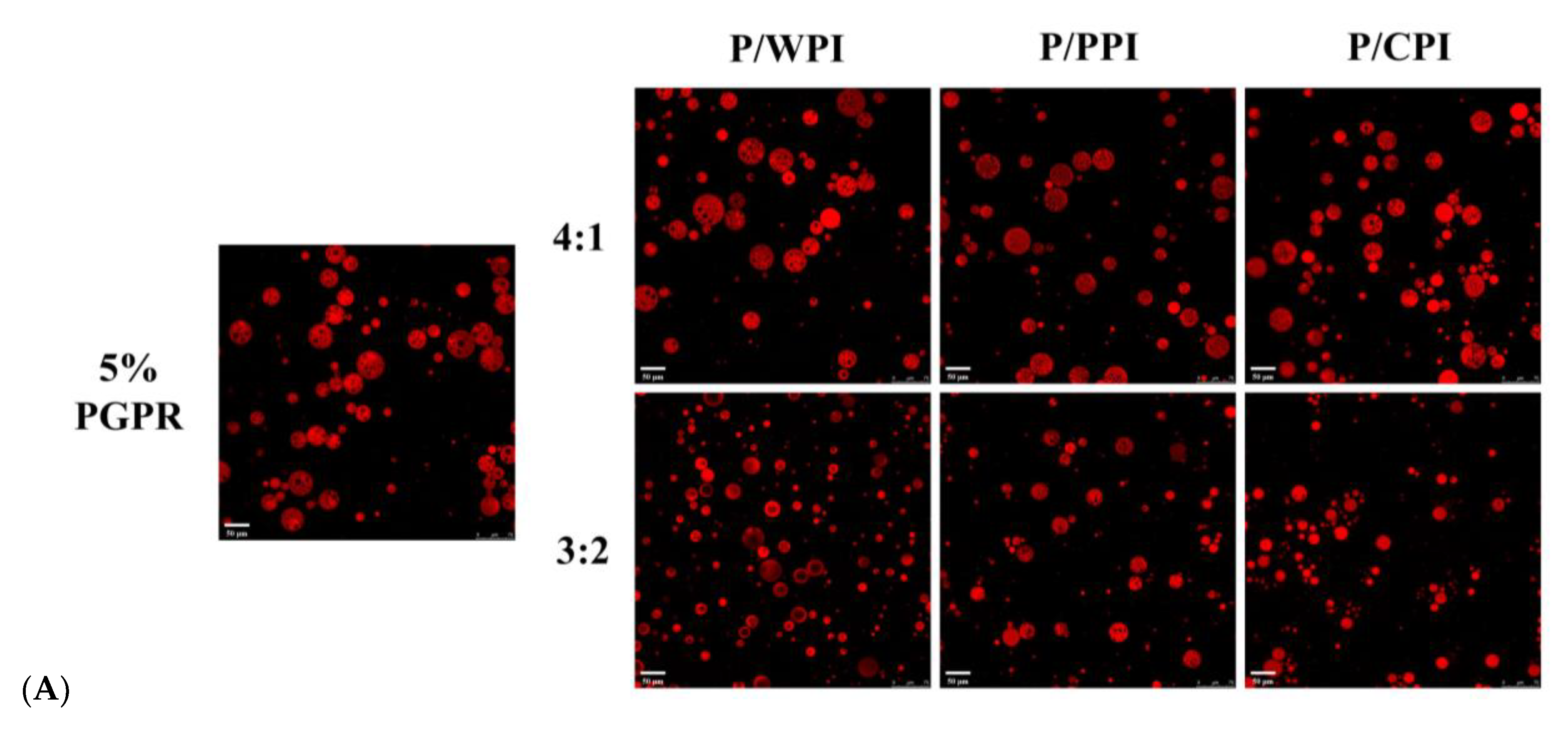 Foods 13 00131 g006a