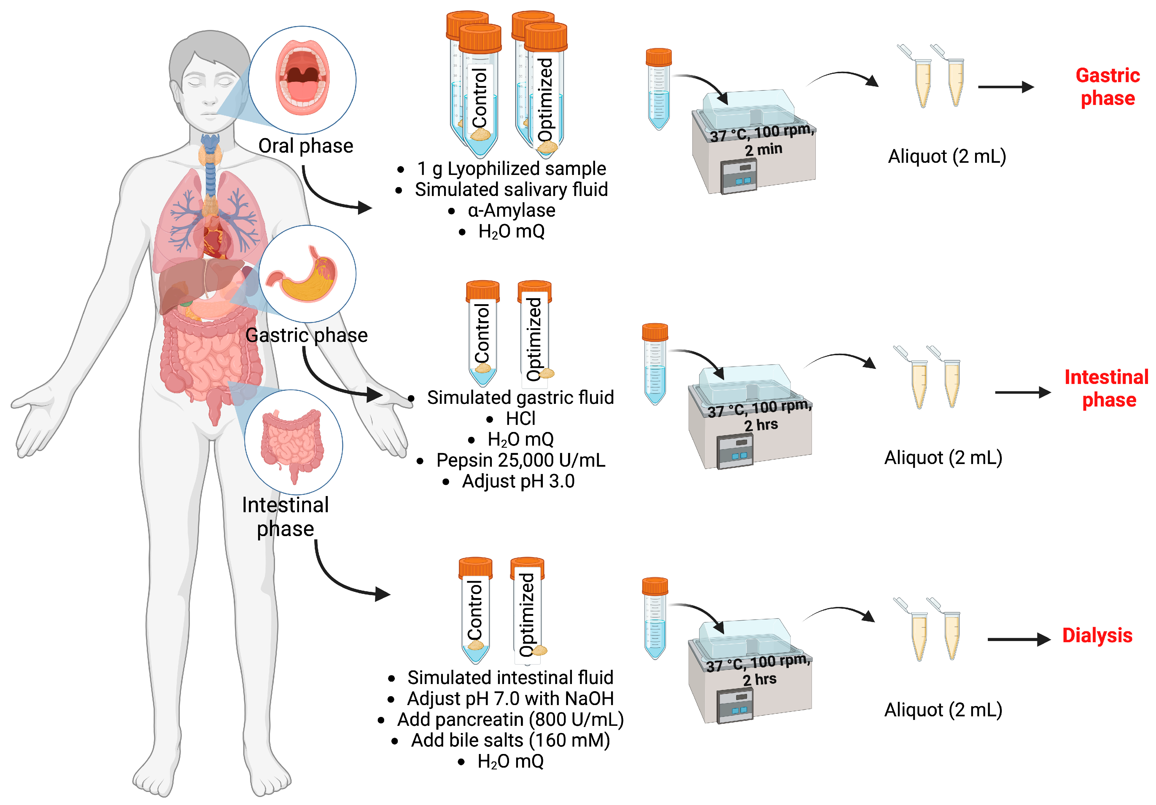 Foods 13 00142 g001 Foods 13 00142 g001