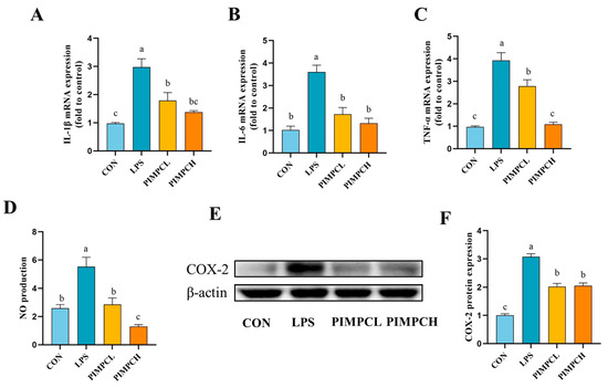大人女性の Porcine Intestinal Macrophage Target Peptides Mucosal アート・デザイン・音楽