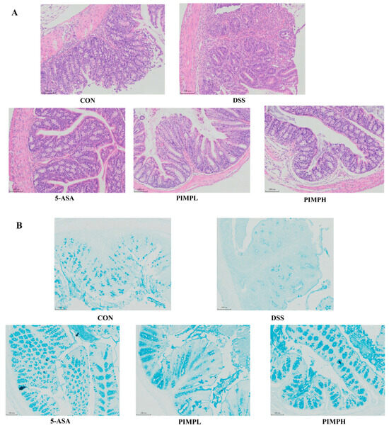 Porcine Intestinal Mucosal Peptides Target Macrophage