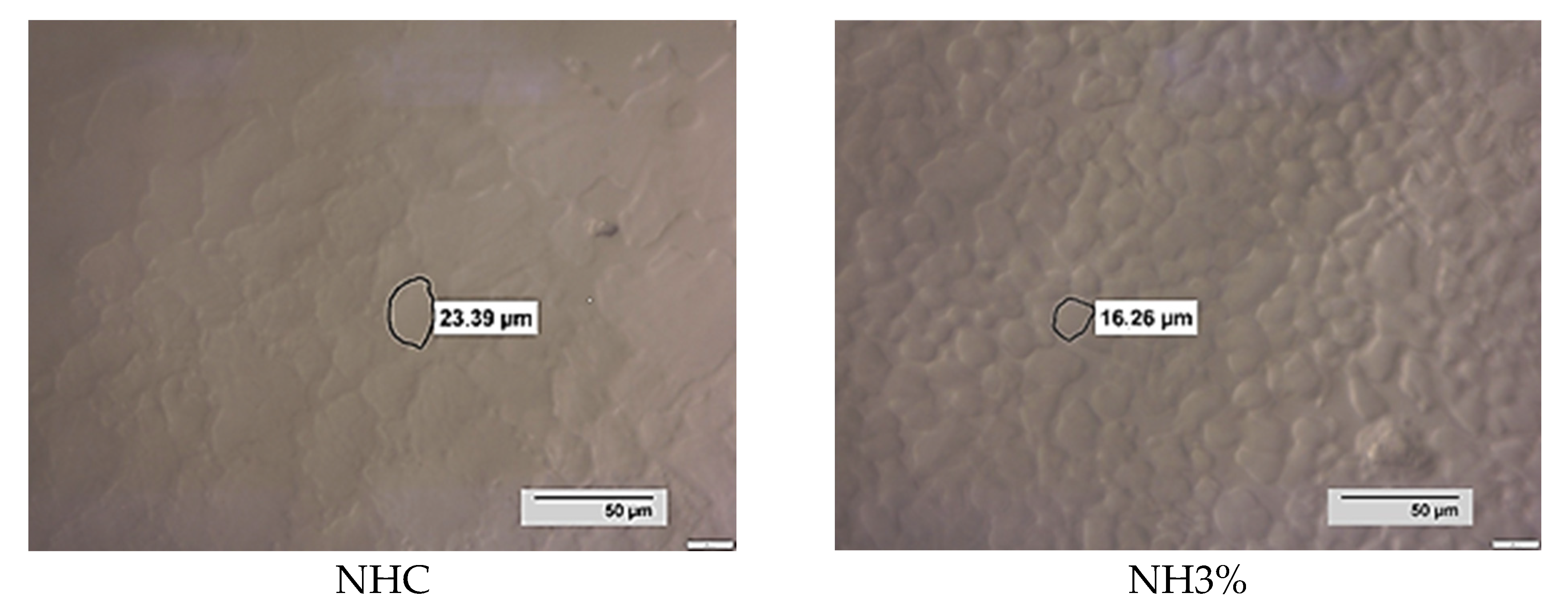 Foods 13 00170 g004a Foods 13 00170 g004a