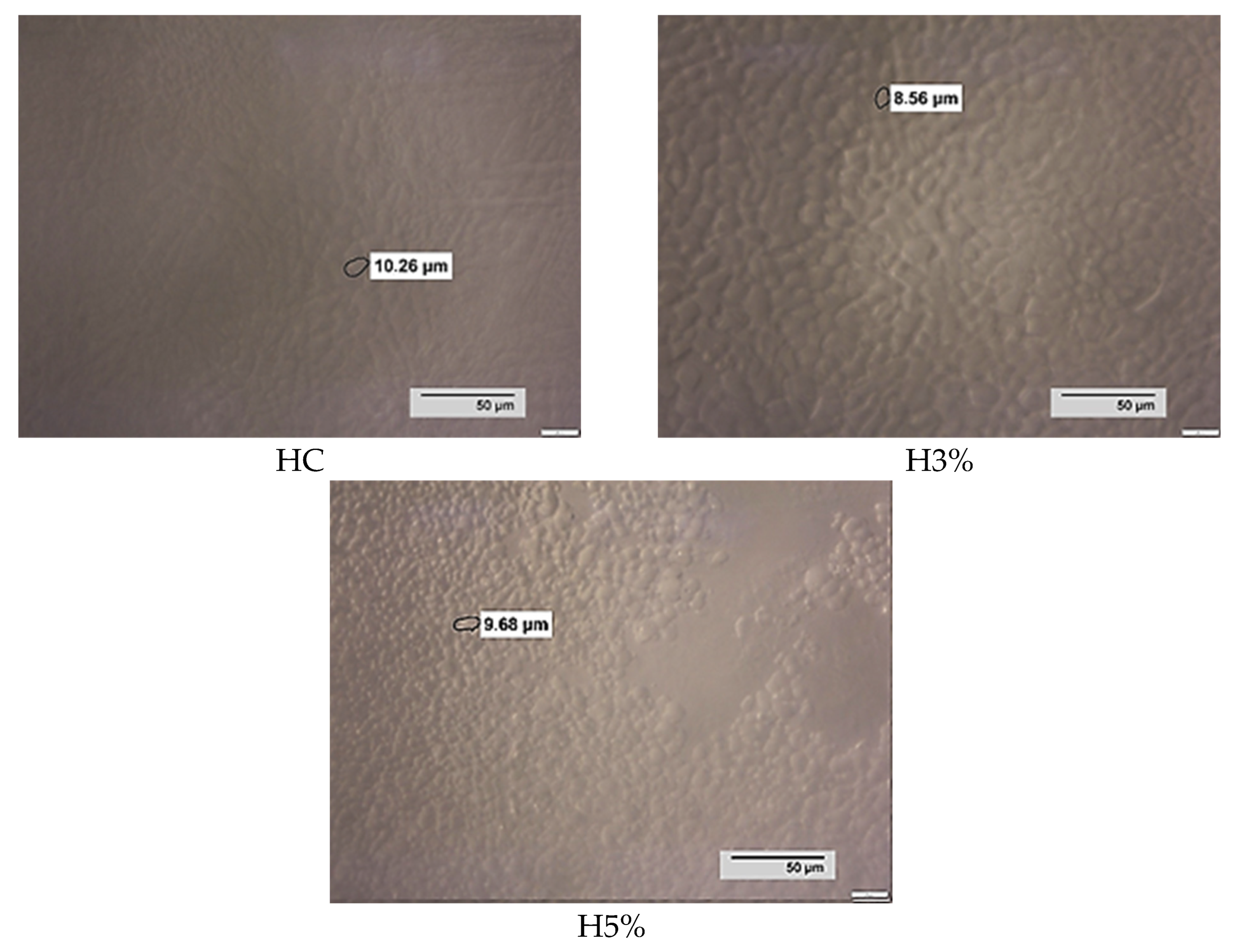 Foods 13 00170 g004b Foods 13 00170 g004b