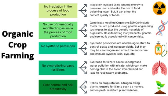 Health Benefits of Organic Farming