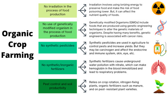 Health Benefits of Organic Farming