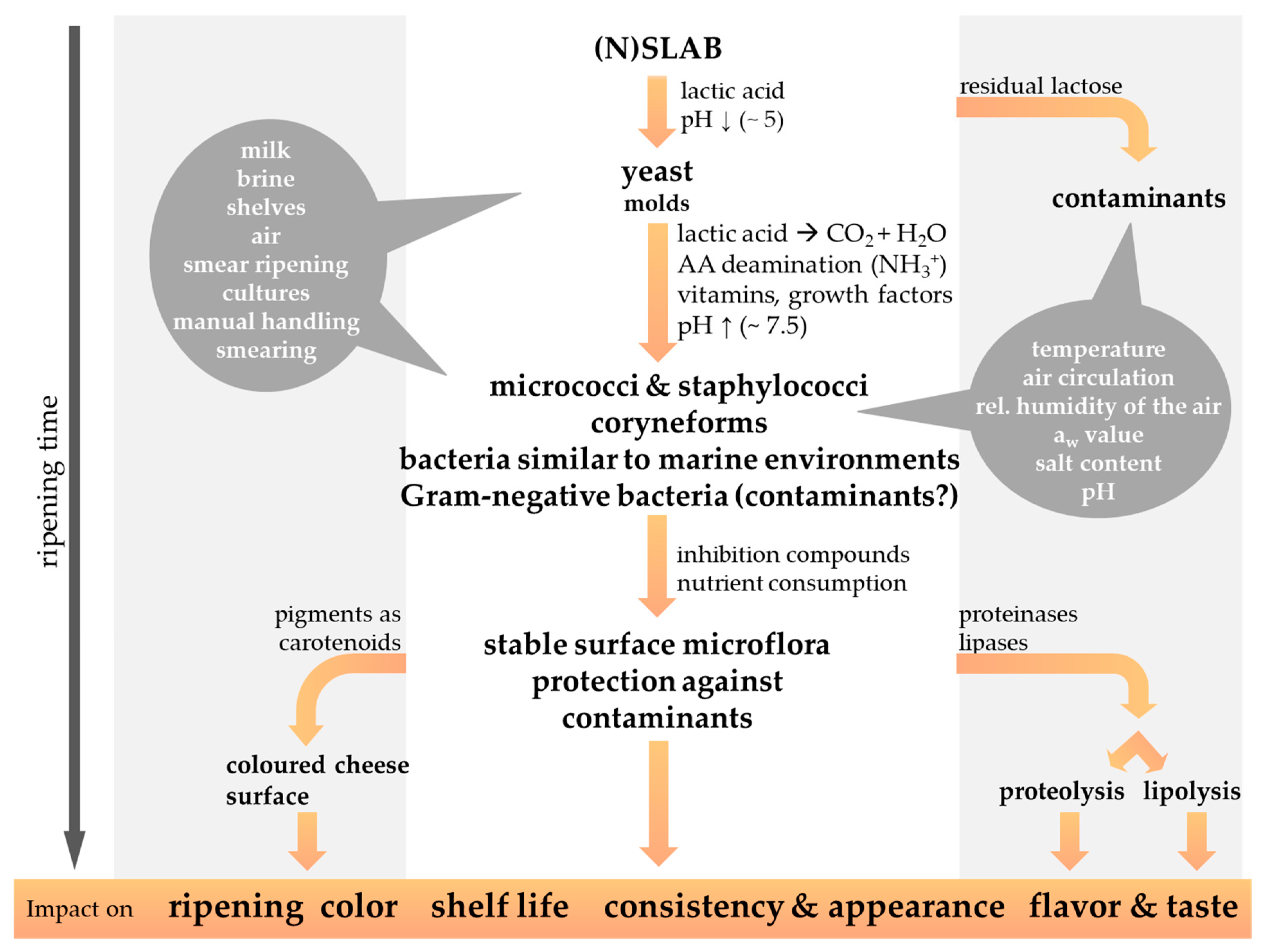 Foods 13 00214 g002 Foods 13 00214 g002