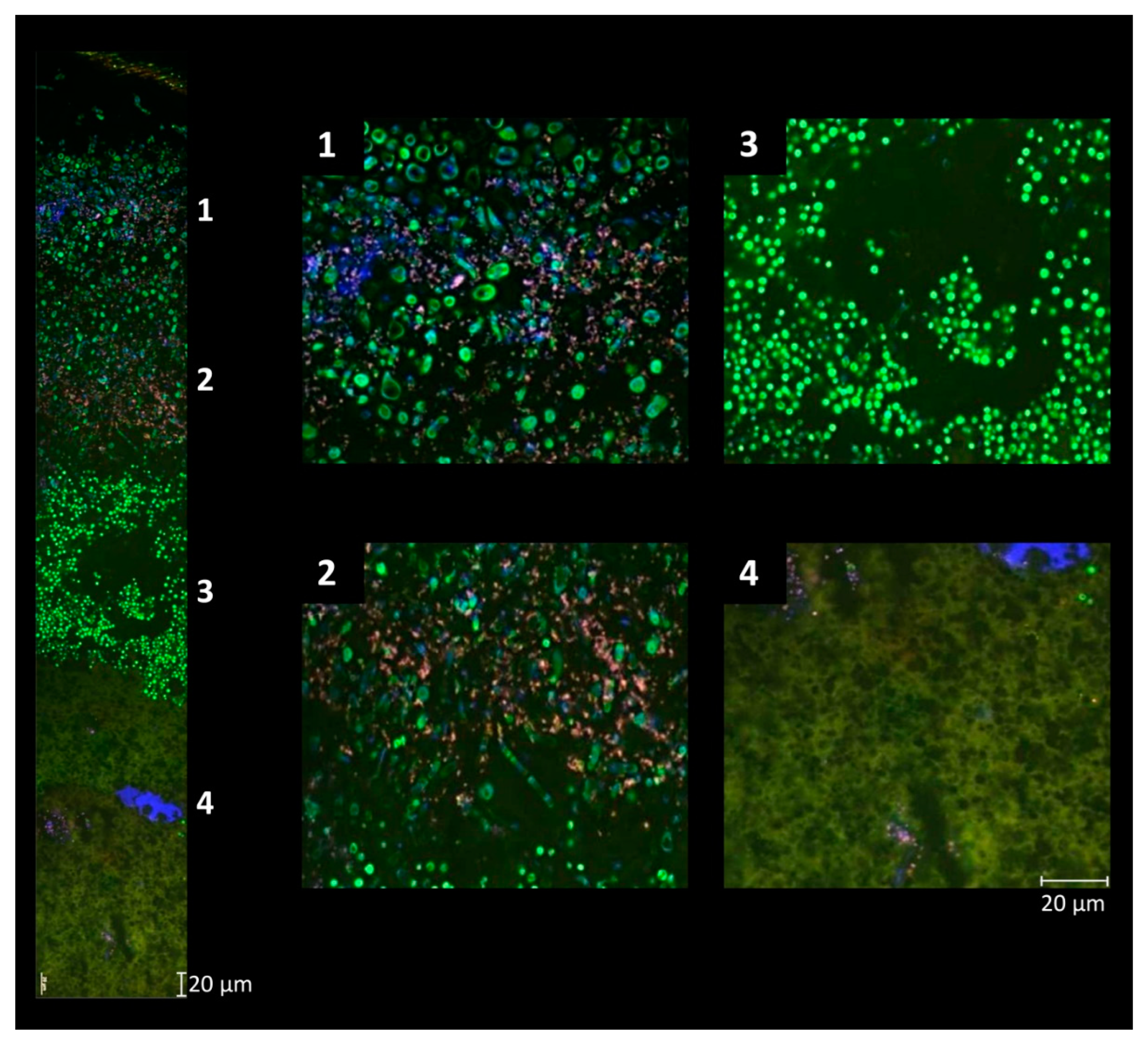 Foods 13 00214 g003 Foods 13 00214 g003
