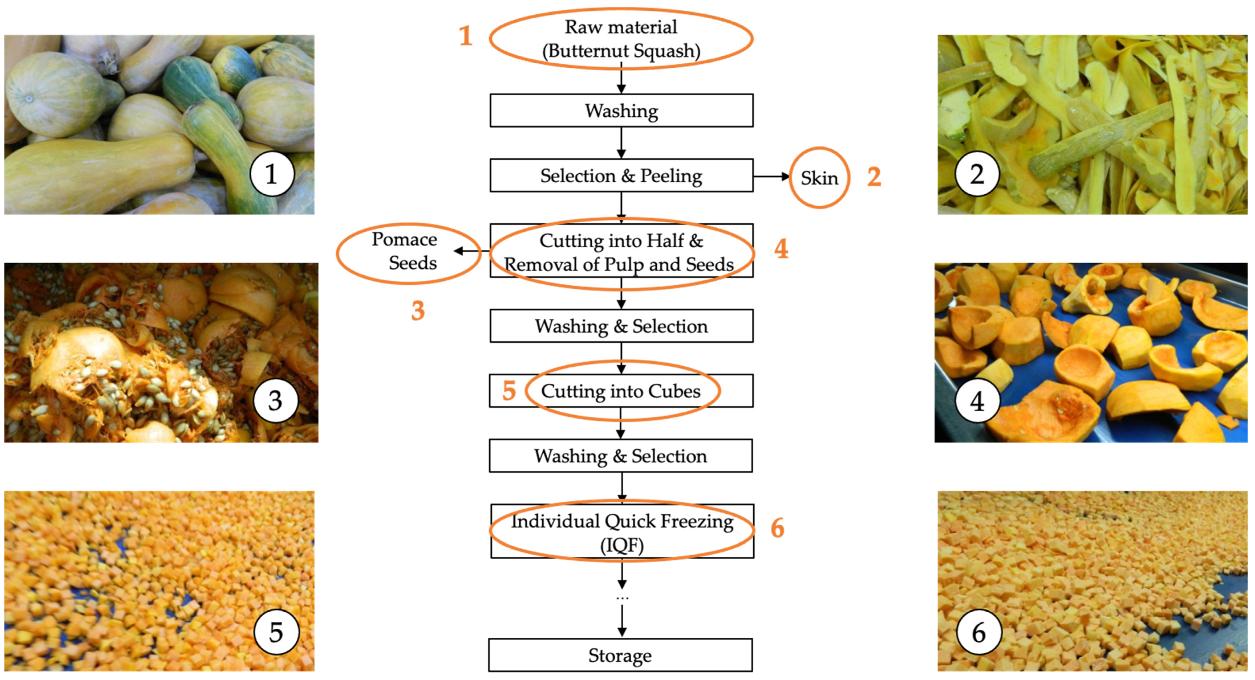 Bioaccessibility of Carotenoids and Polyphenols in Organic