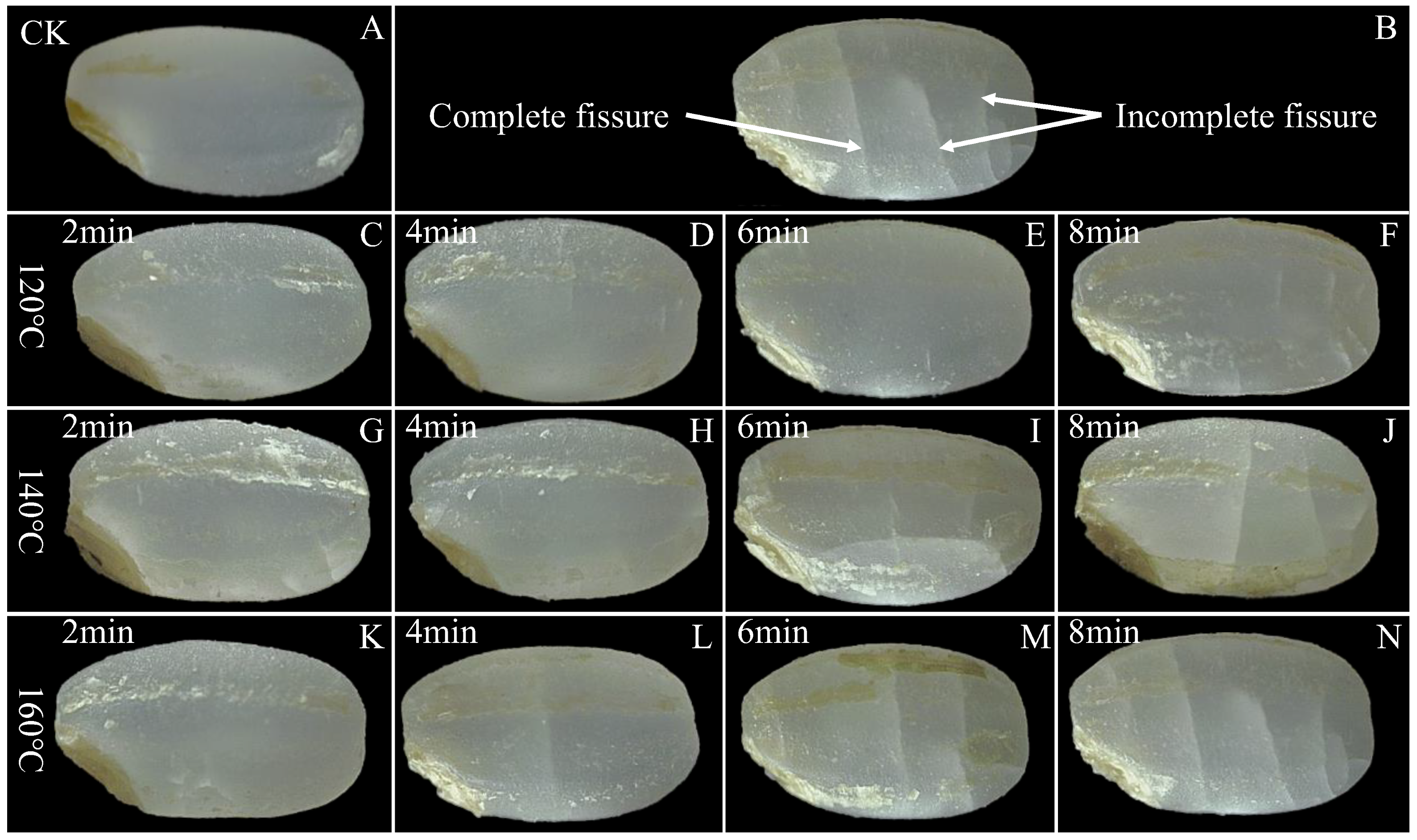 Foods 13 00240 g003 Foods 13 00240 g003